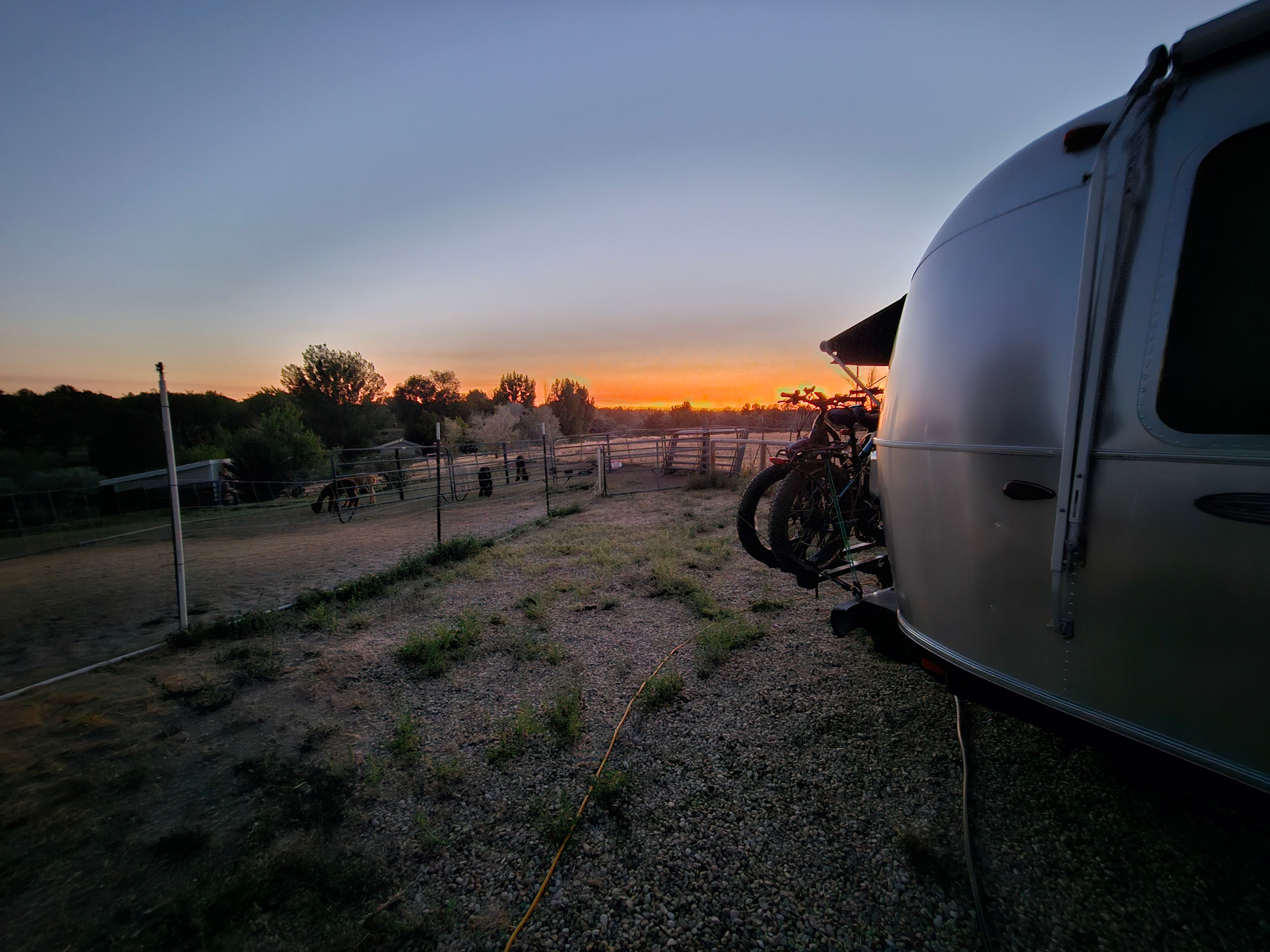 Murphys Point Alpaca Ranch
