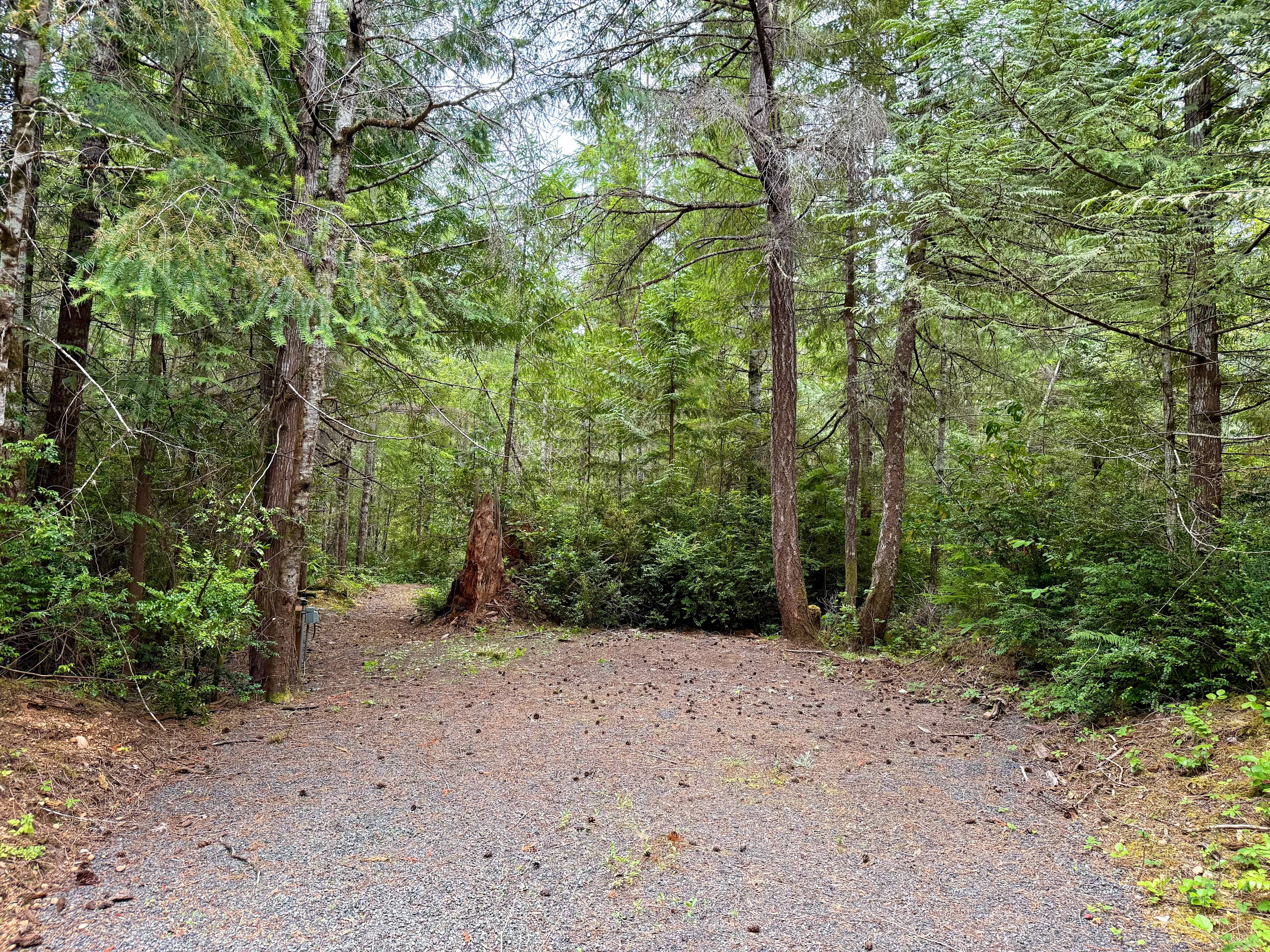 Hood Canal Acres