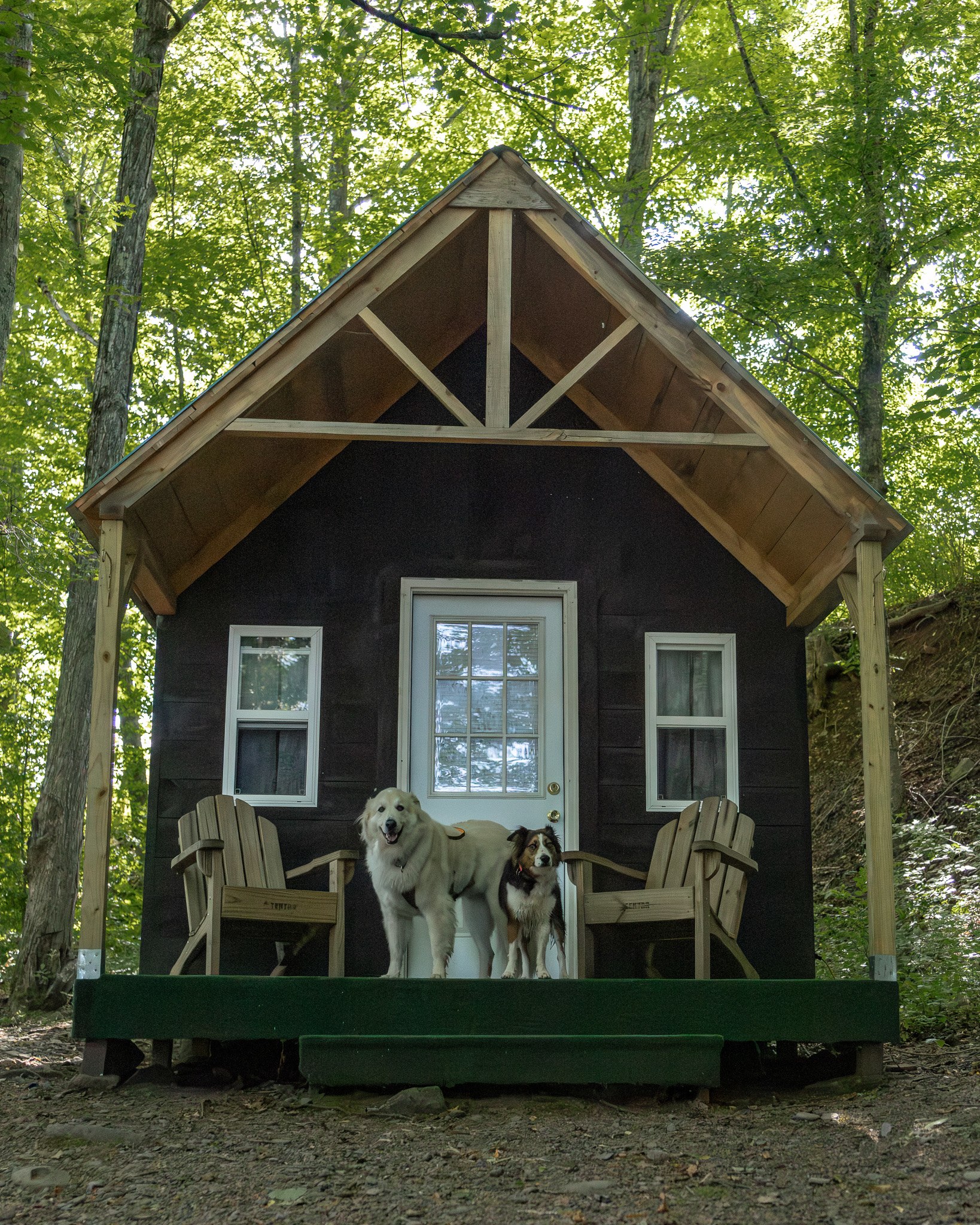 Bearkill Brook Campsite