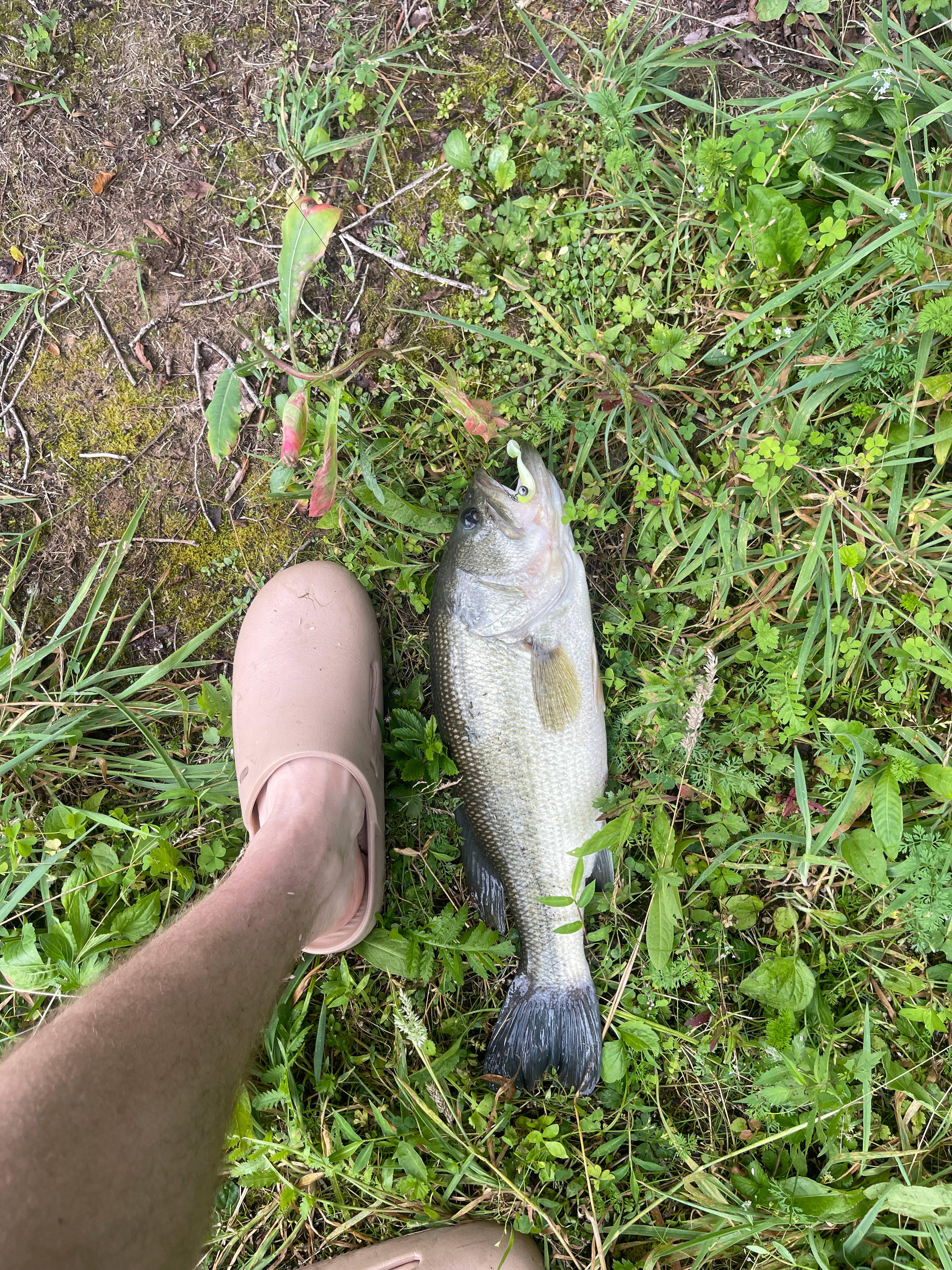 Stonehedge Gardens Holistic Retreat