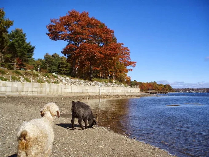 Searsport Shores Oceanfront Campground