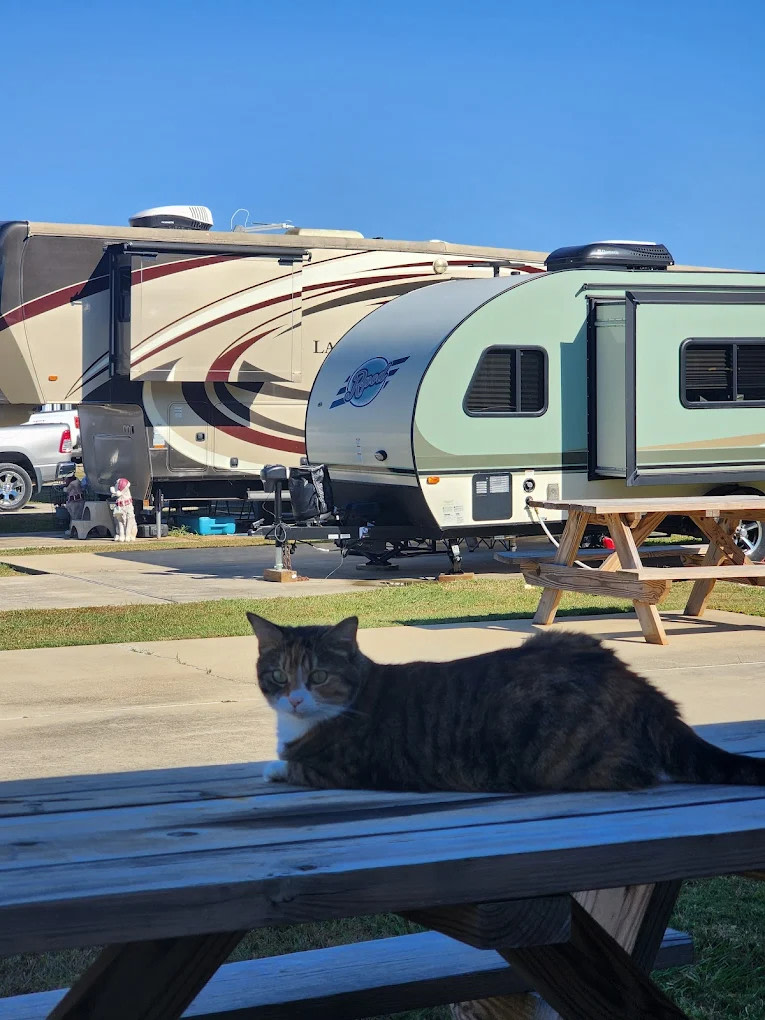 Magnolia Springs RV Hideaway Campground