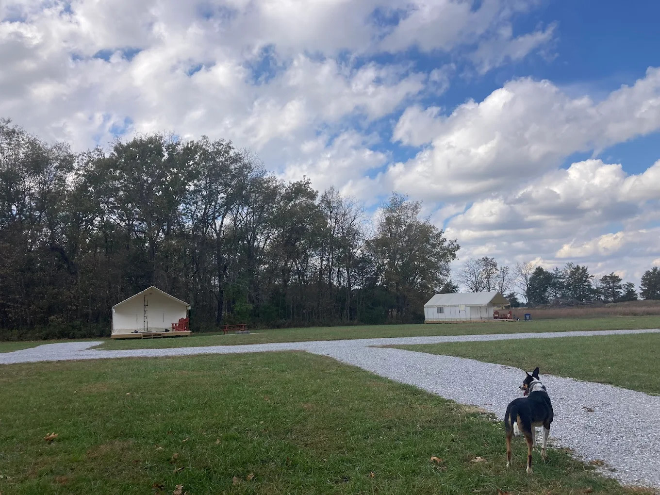 Roaring River Hills Campground & Cabins