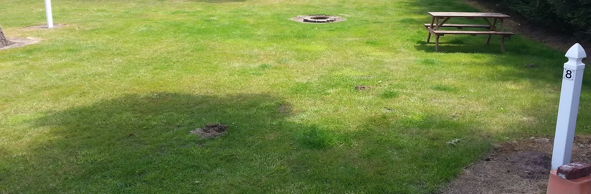 Evergreen Court & RV Park