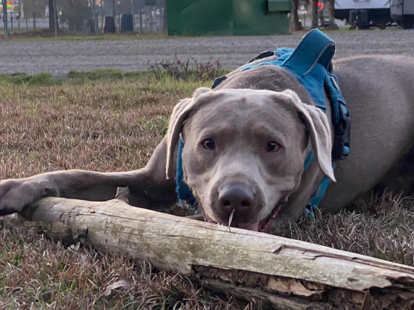 A Stones Throw RV Park