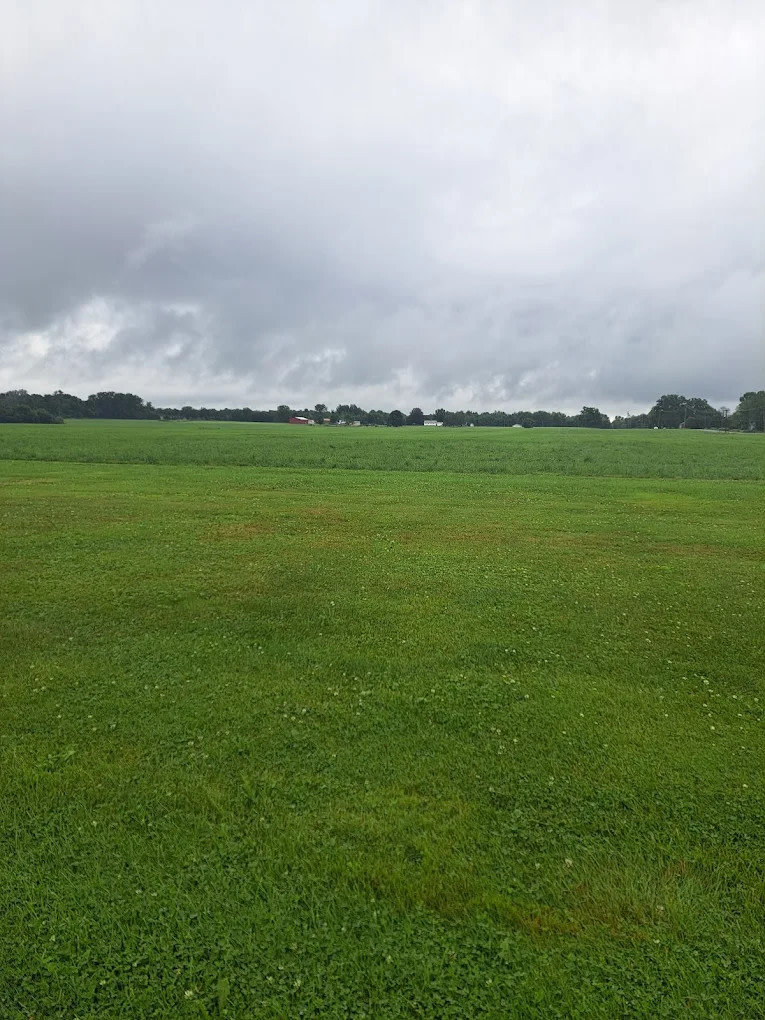 Piney Woods Campsites