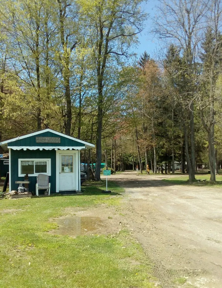 Piney Woods Campsites