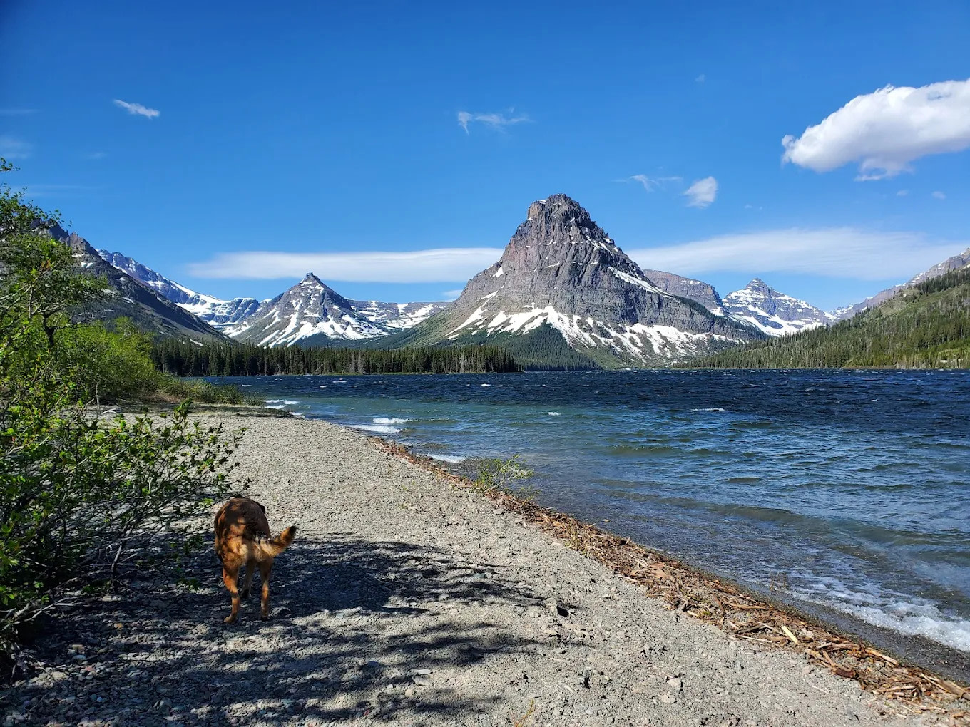 Moose Creek RV Resort and Bed & Breakfast