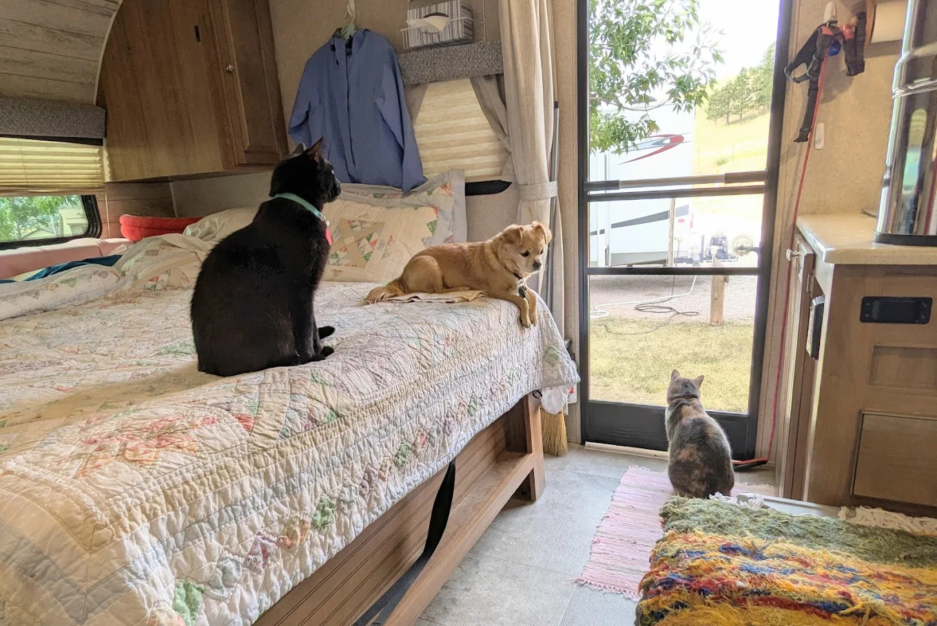 Mountain View RV Park and Campground