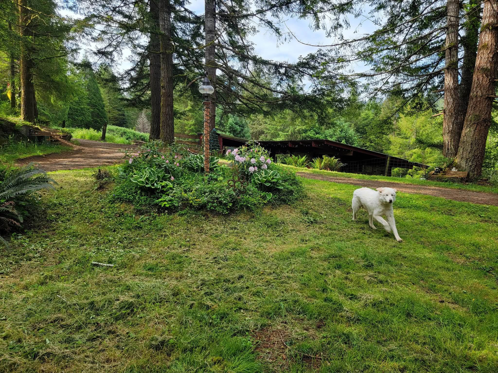 LBC Farm & Horse Camp