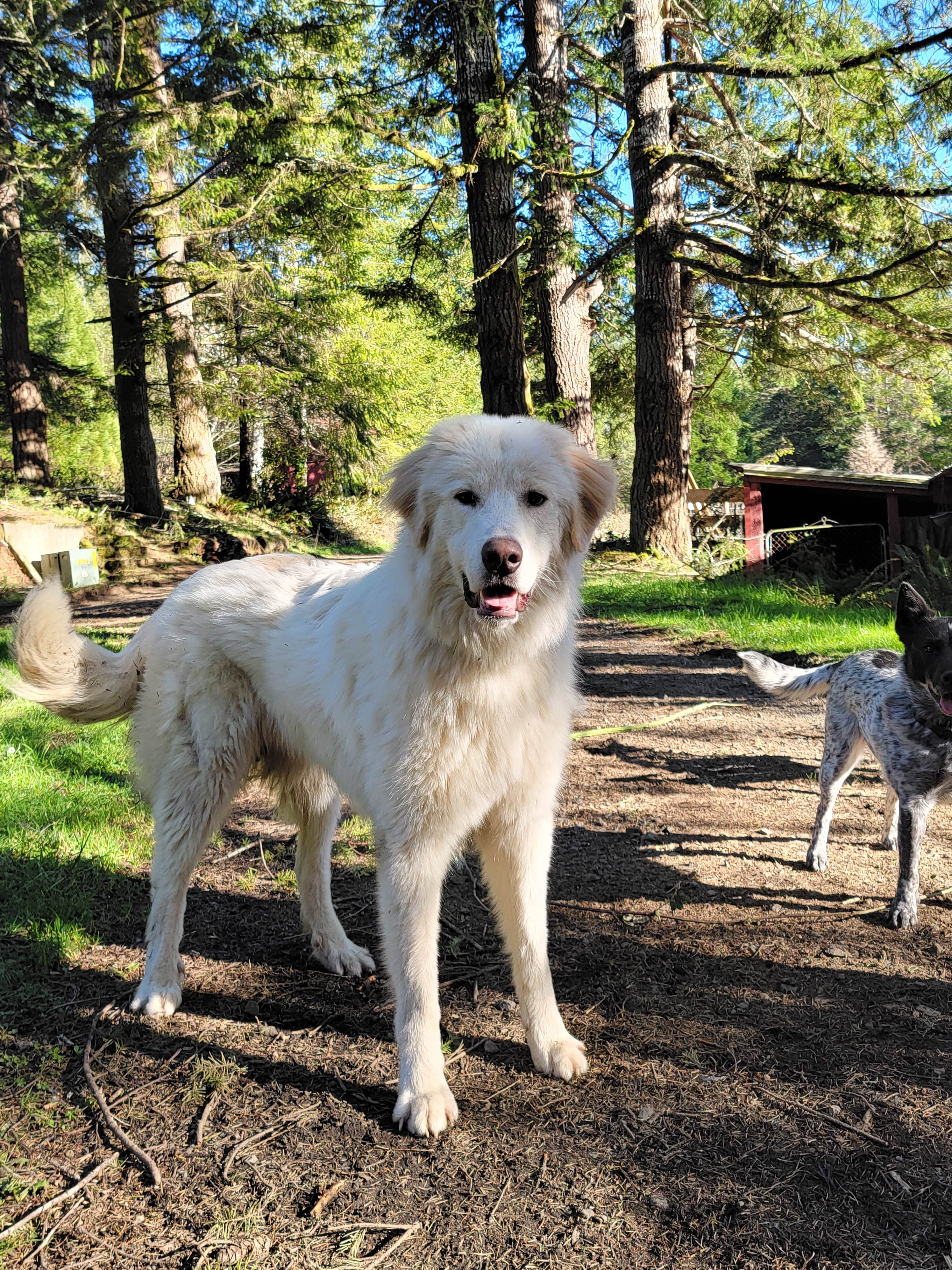 LBC Farm & Horse Camp