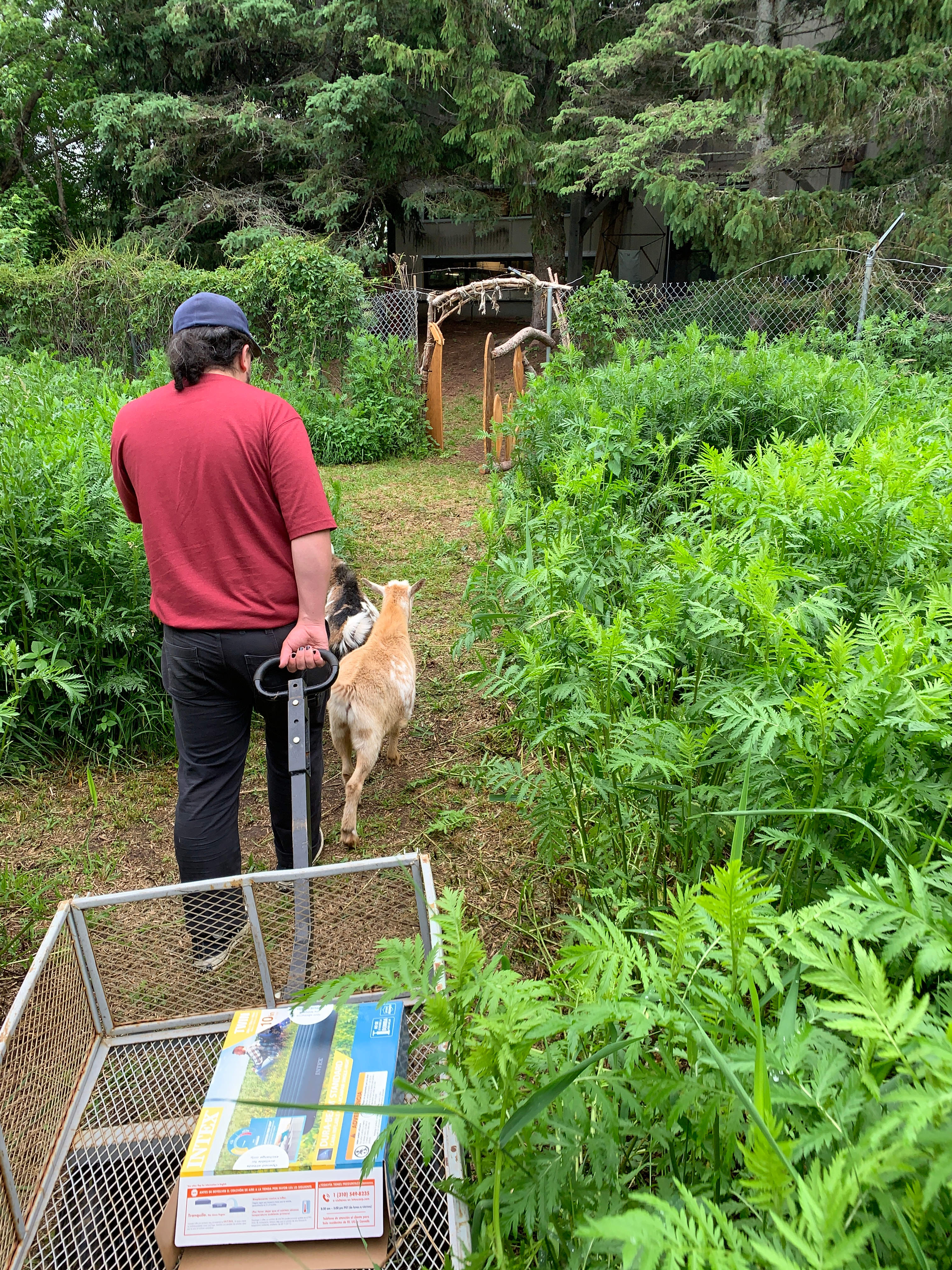 Path to gate from tent site