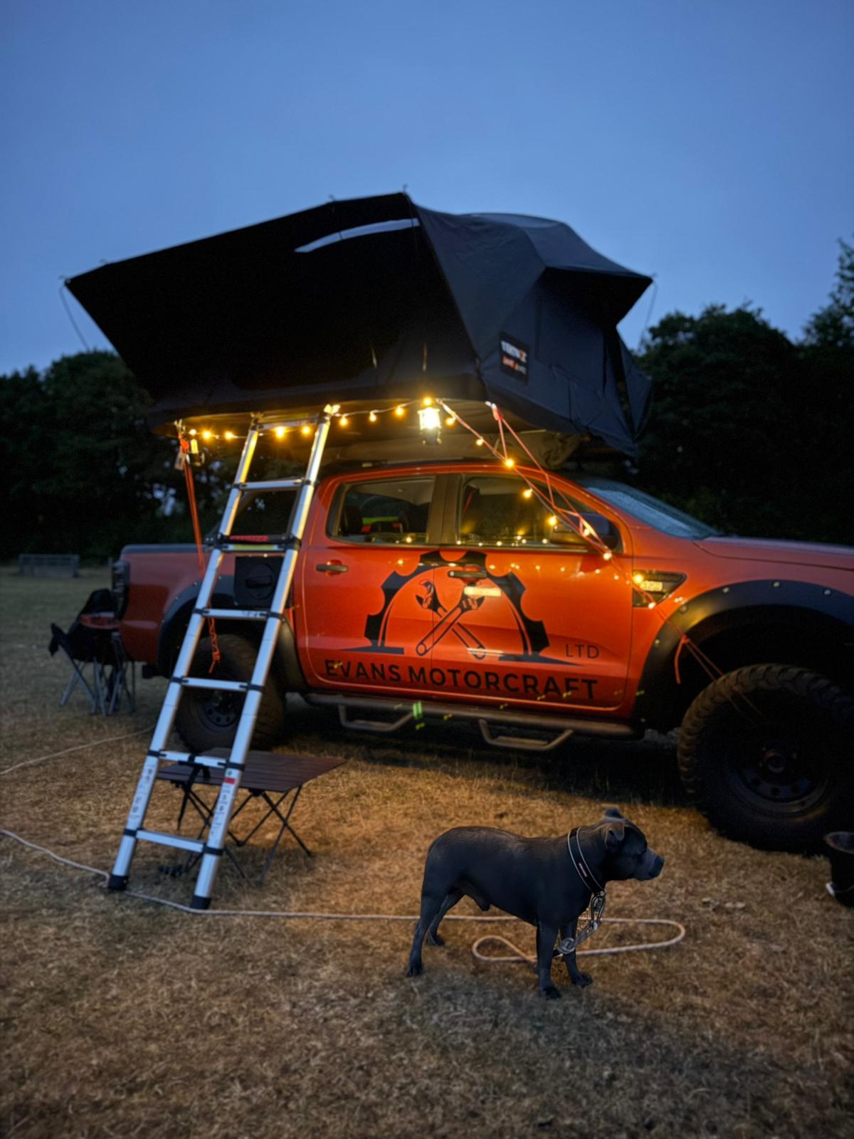 Berries Farm Camping