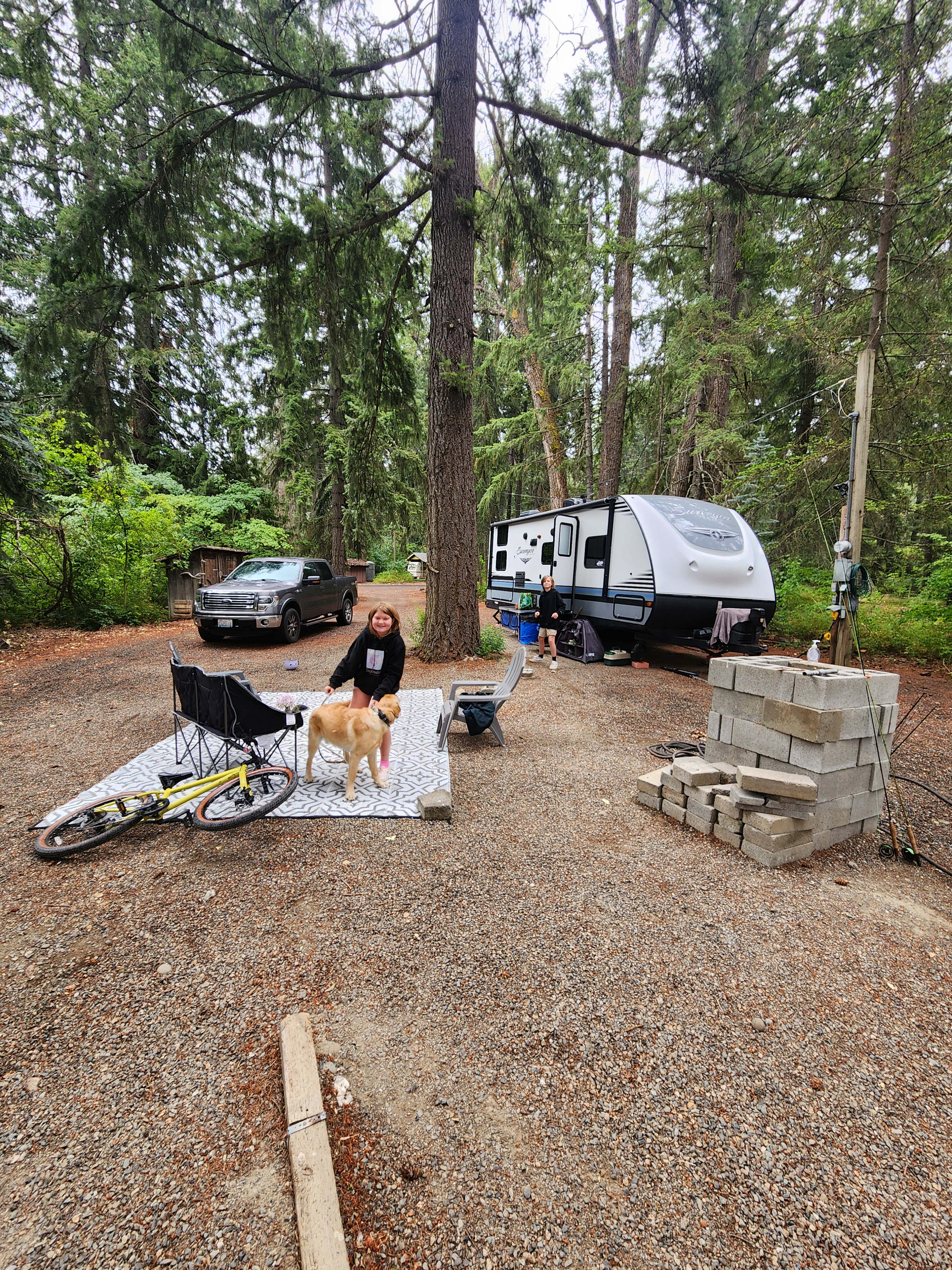 Heron's Rookery at Yakima River