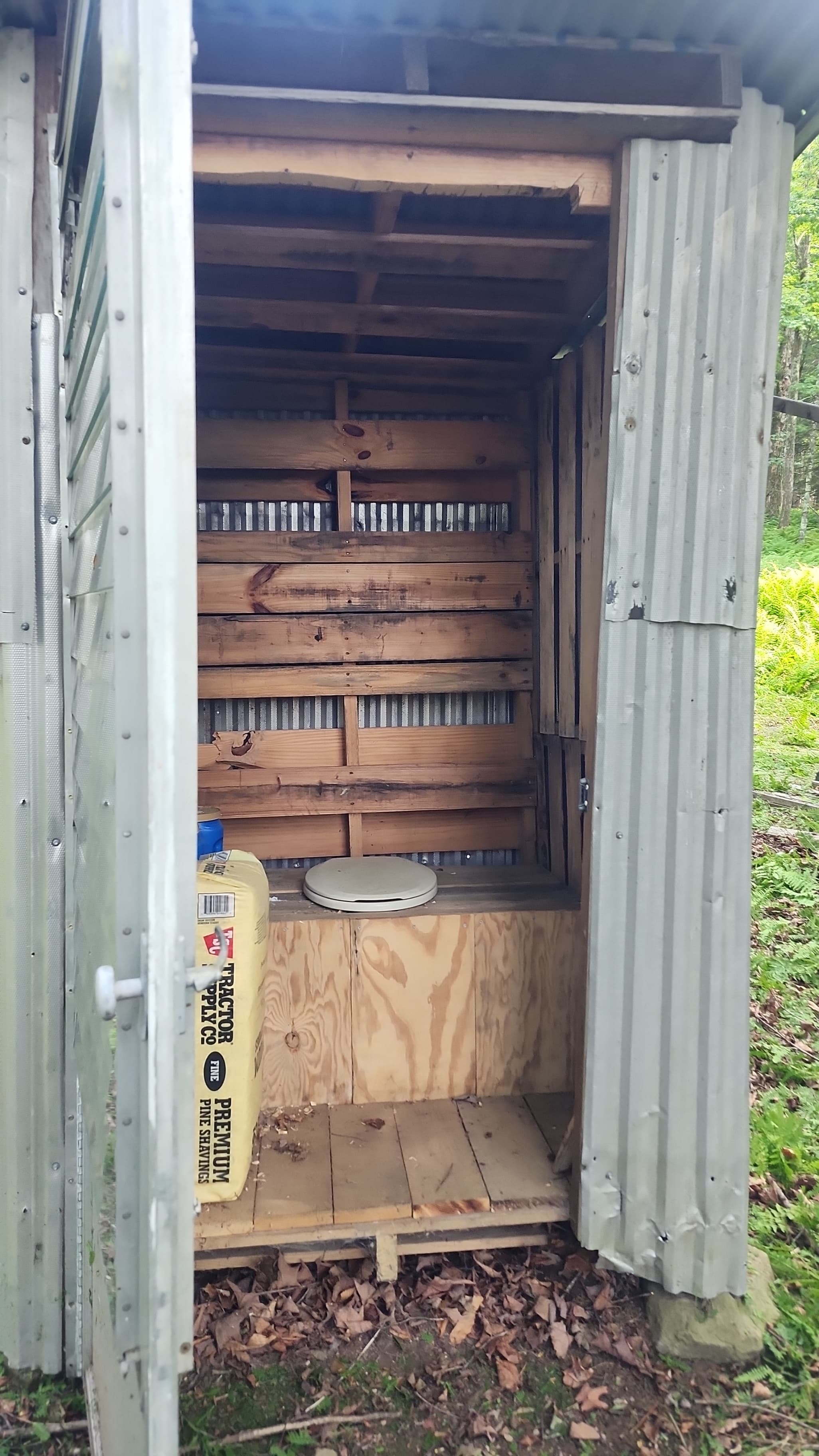 Deeer Tuurk  Sundown Wild Forest