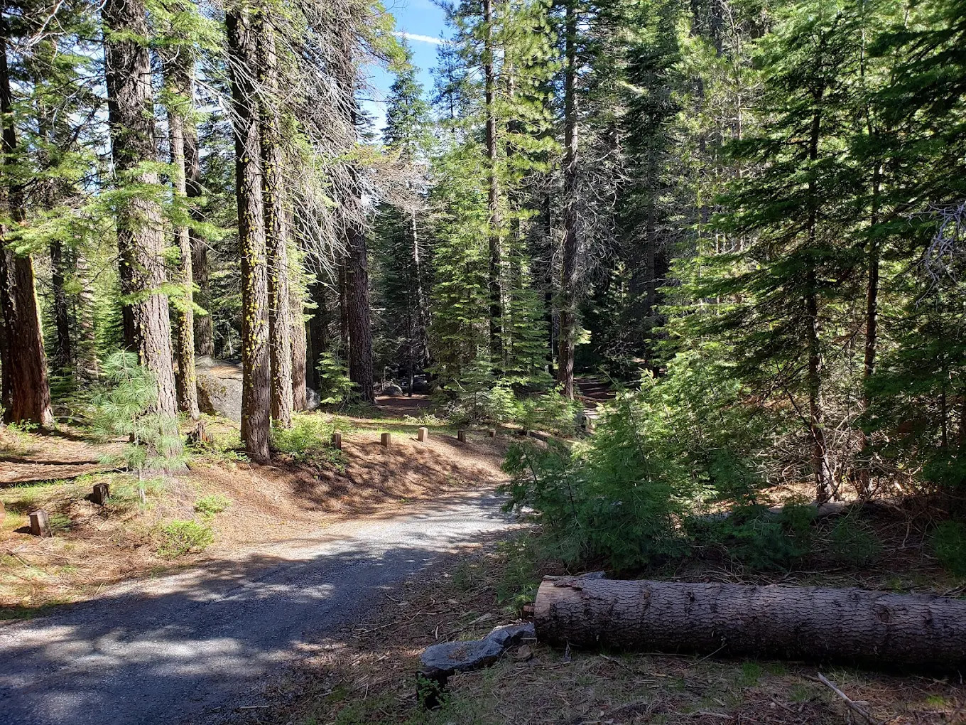 Silver Creek Group Campground