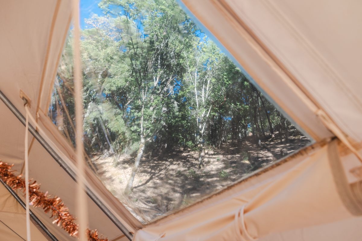The view into the trees from the Golden Bowl yurt