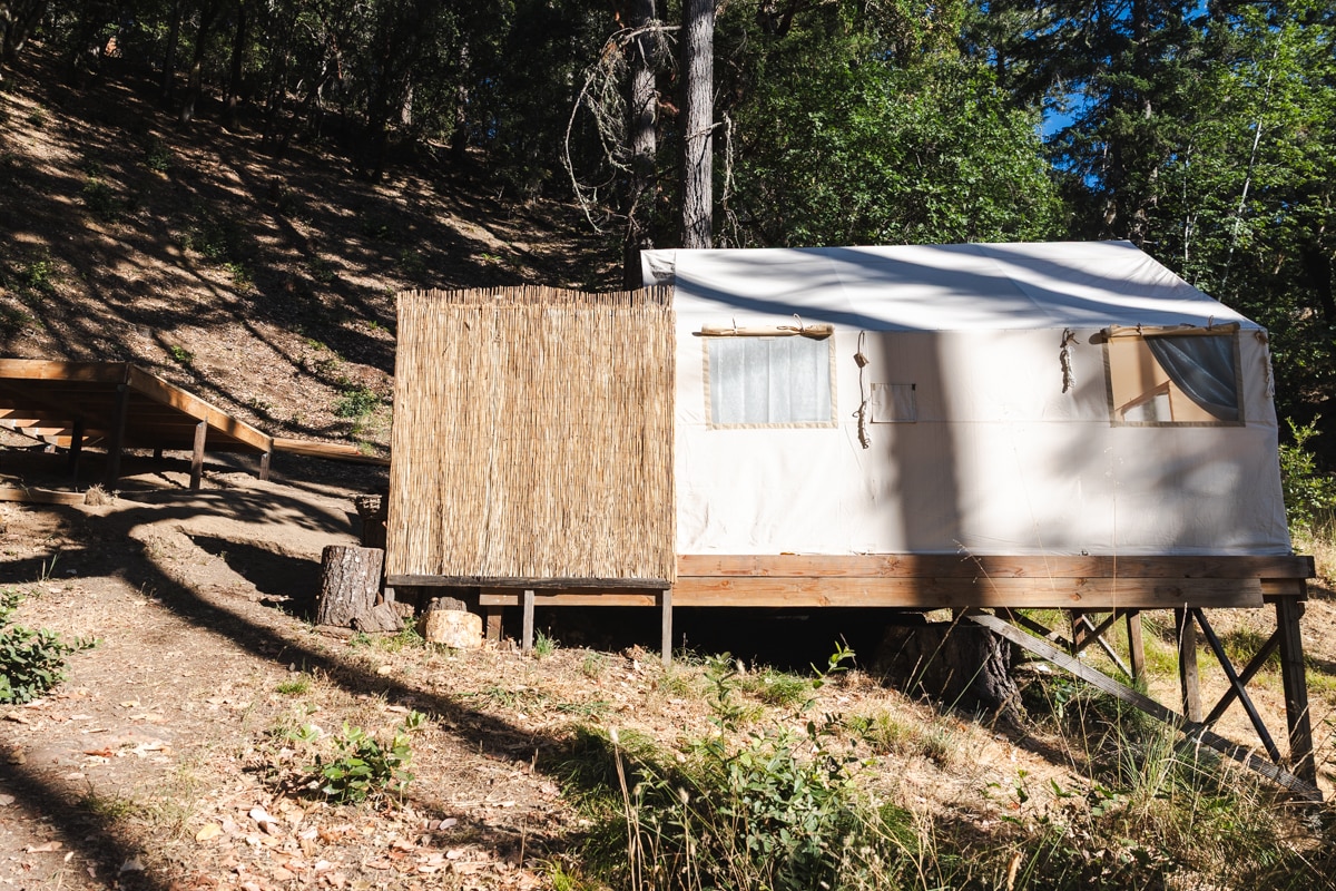 View from the toilet area of the Golden Bowl yurt
