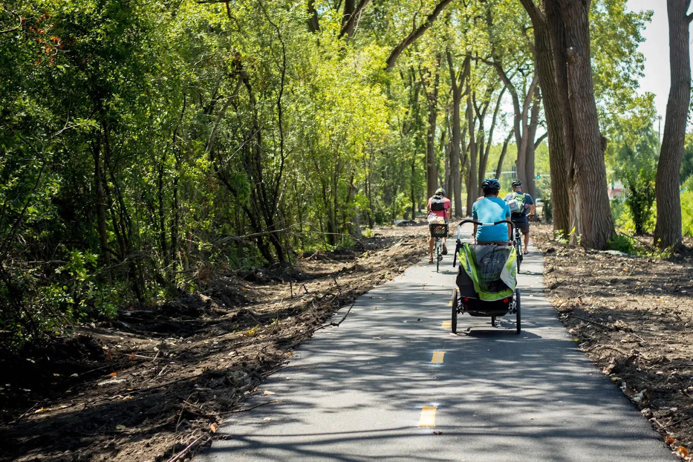 Camp Shabbona Woods