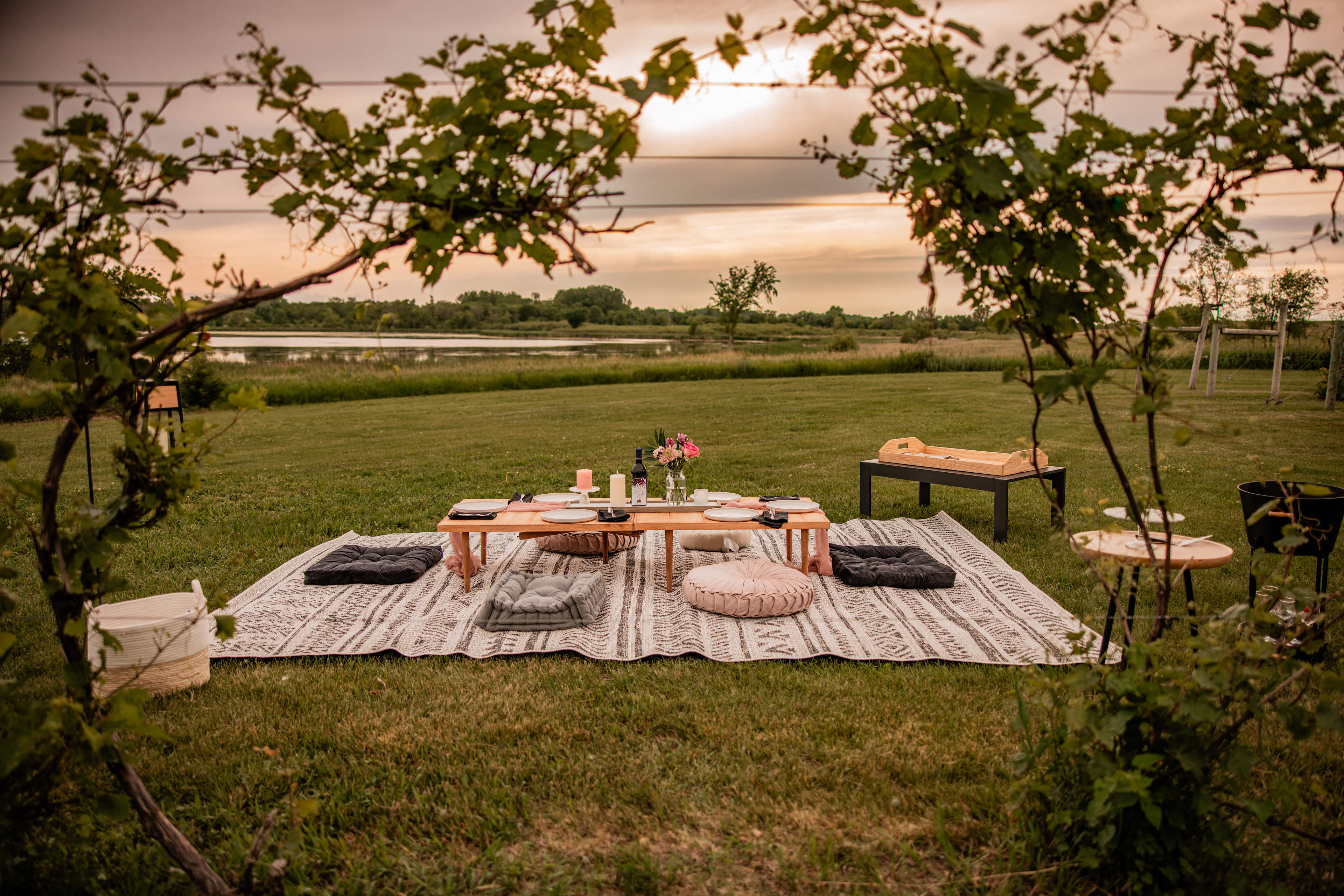 Painted Prairie Vineyard