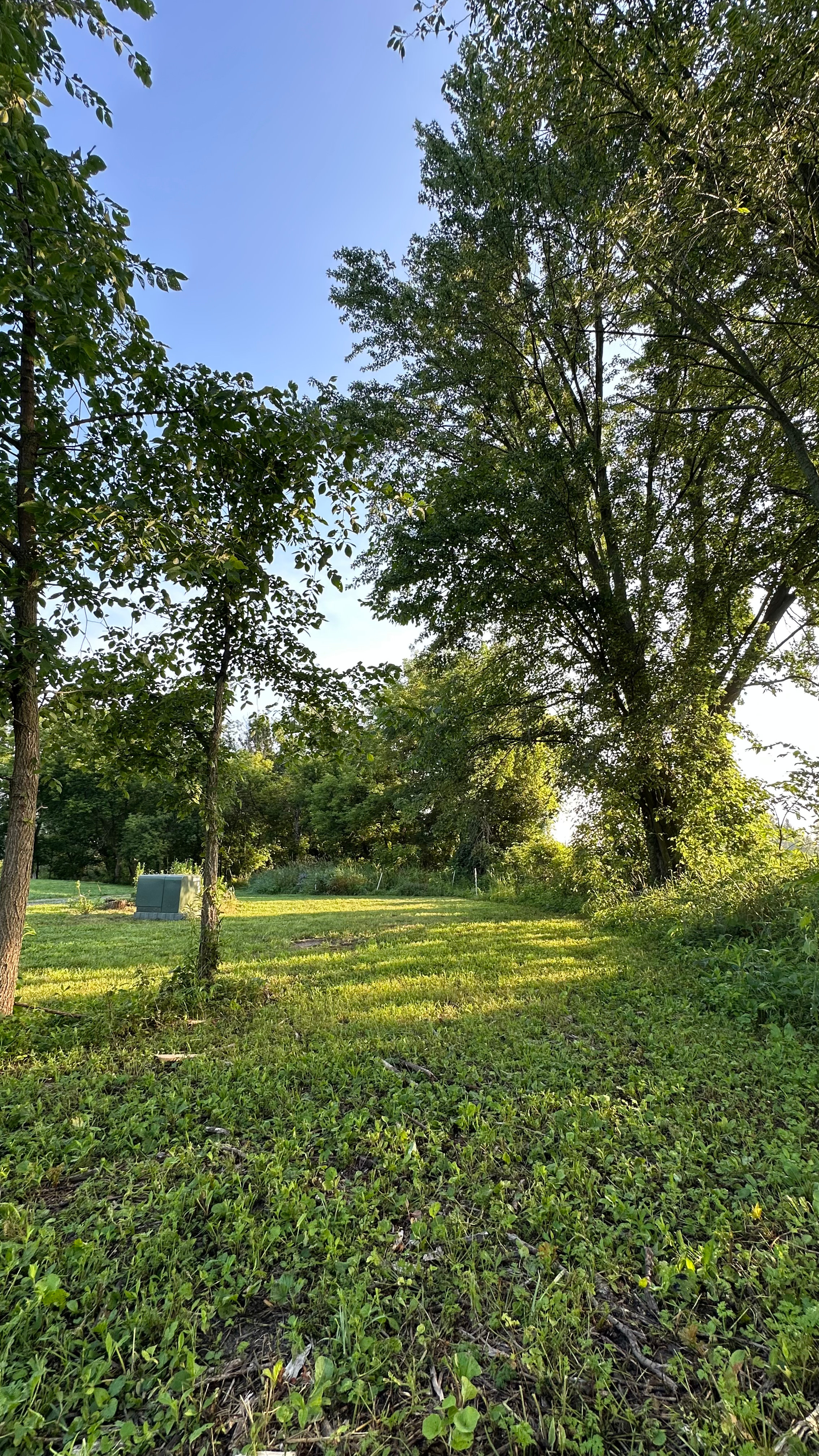 Wool in the Wood - Peaceful Retreat