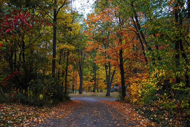Catskill Mountain KOA