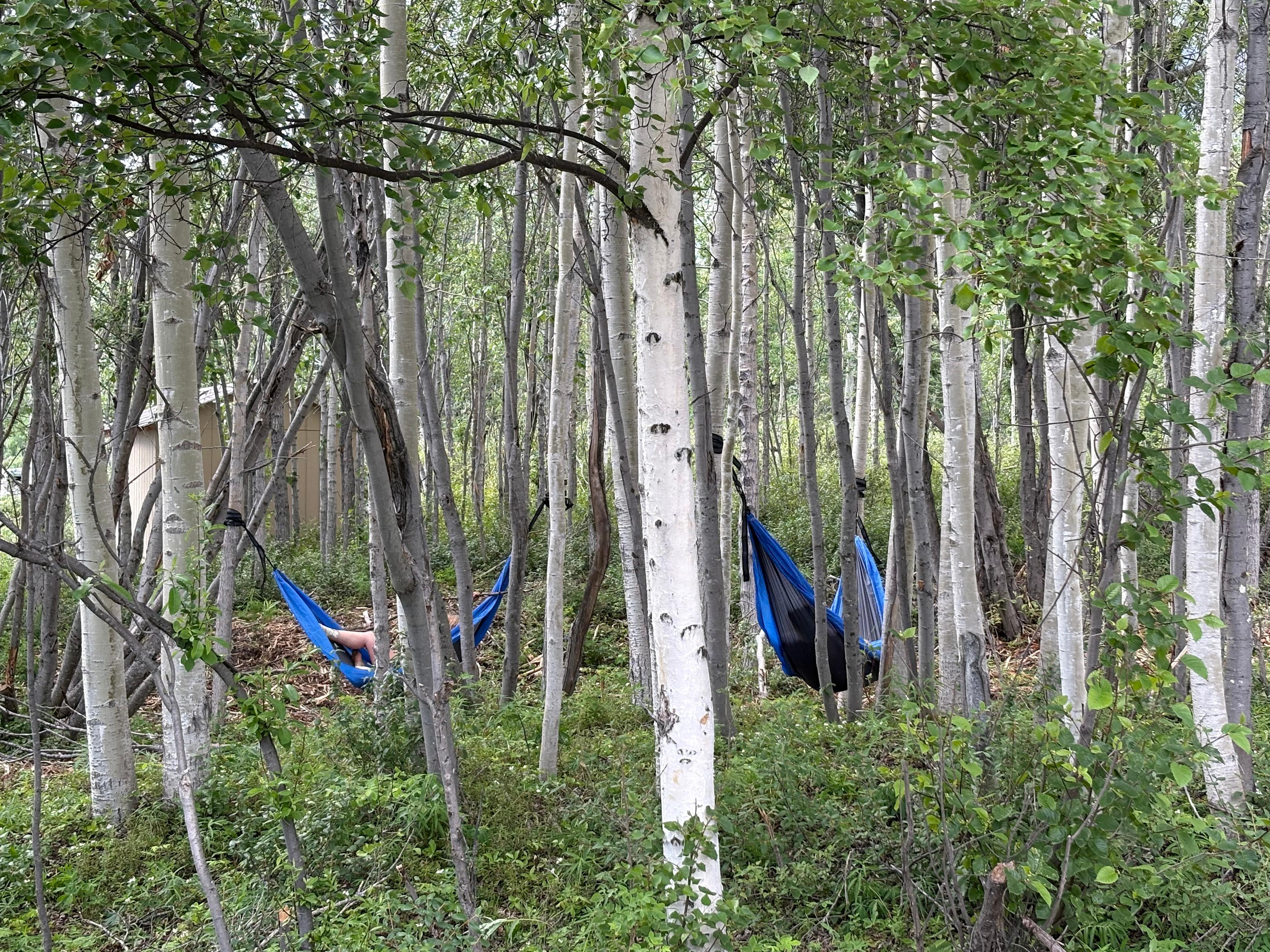 Pinochle Trail Campground