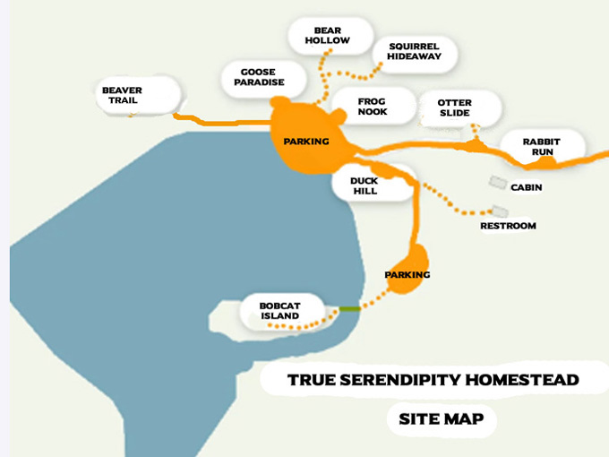 True Serendipity Homestead