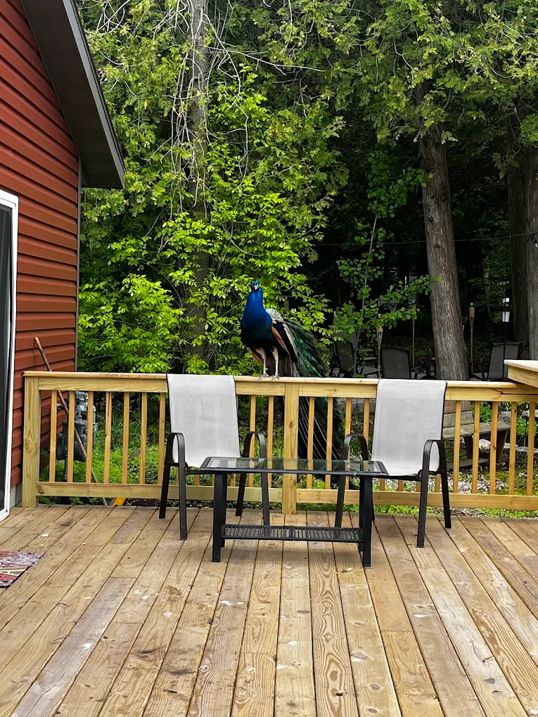 Timber Trail Campground