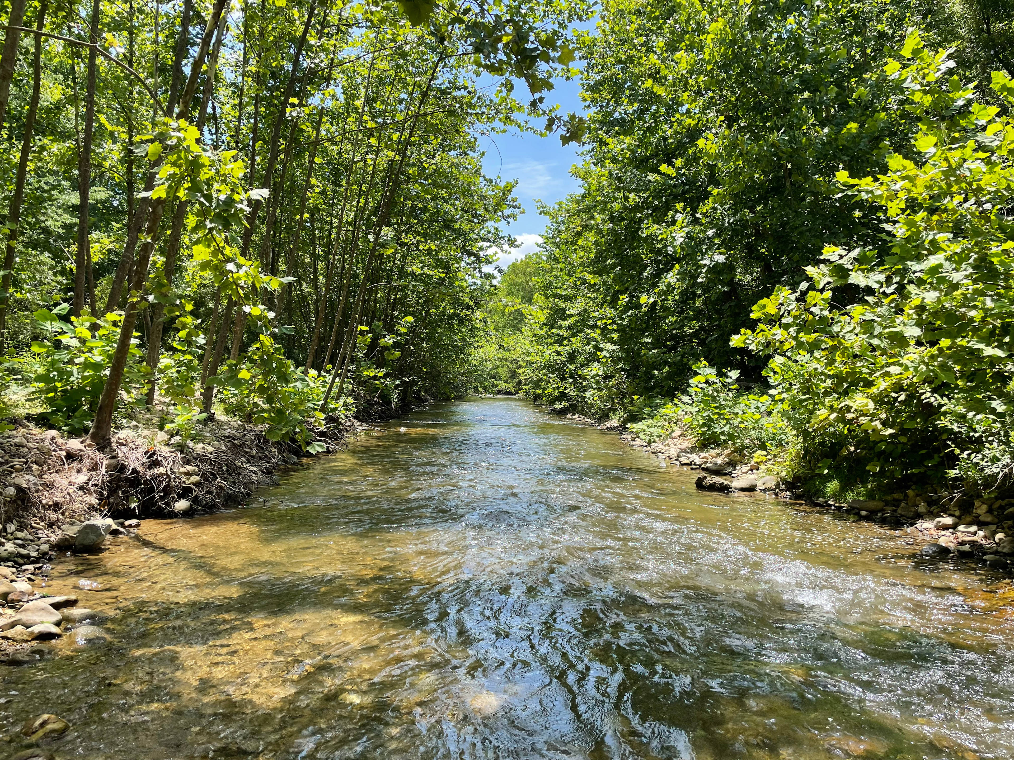 Swedish Lilac Campground & Events