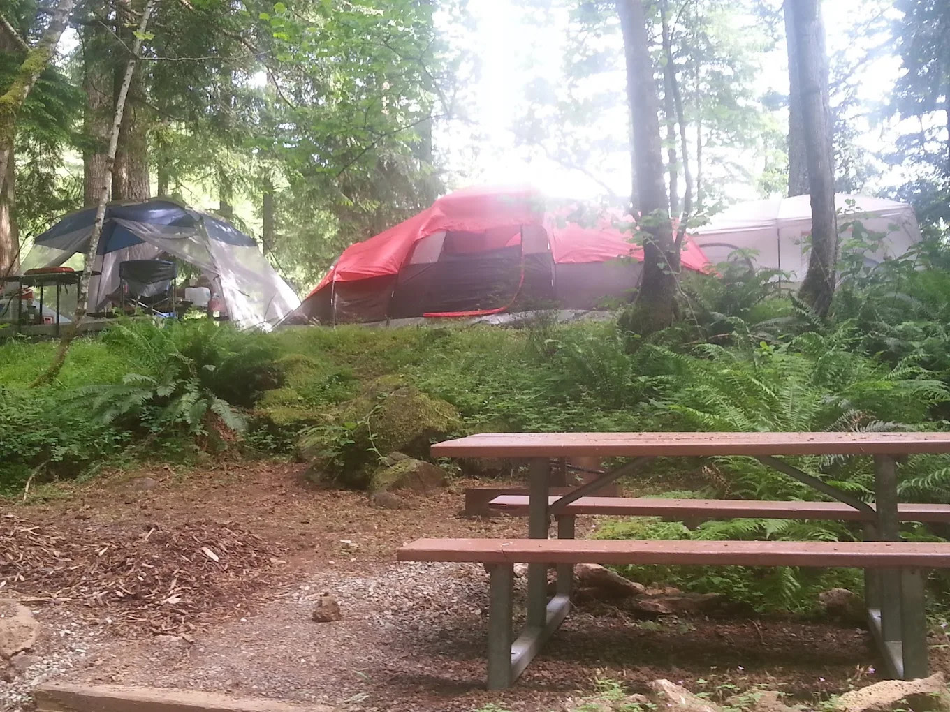 Clackamas River RV Park