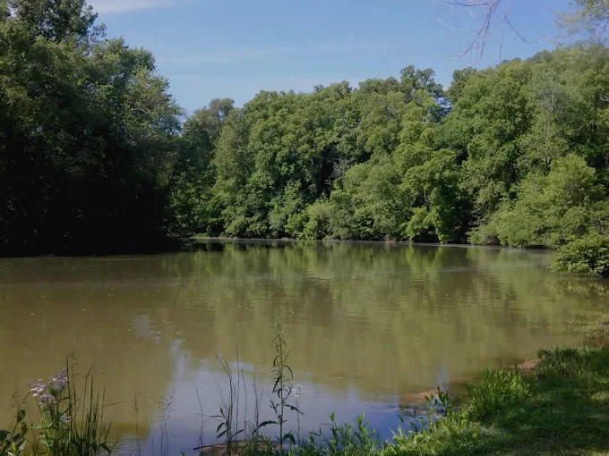 Little Bear Island Campground