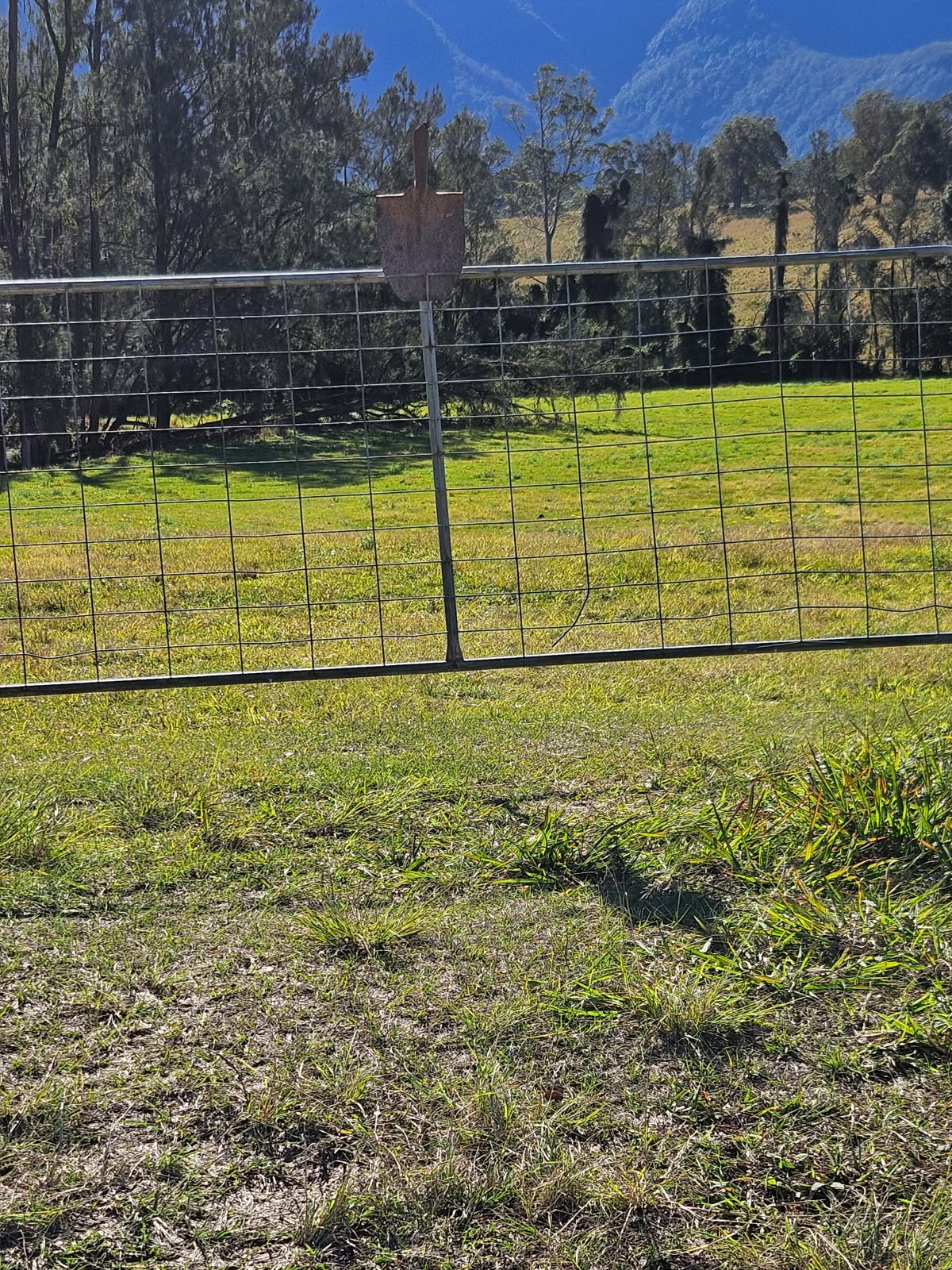 Tweed Valley Westbury Farm