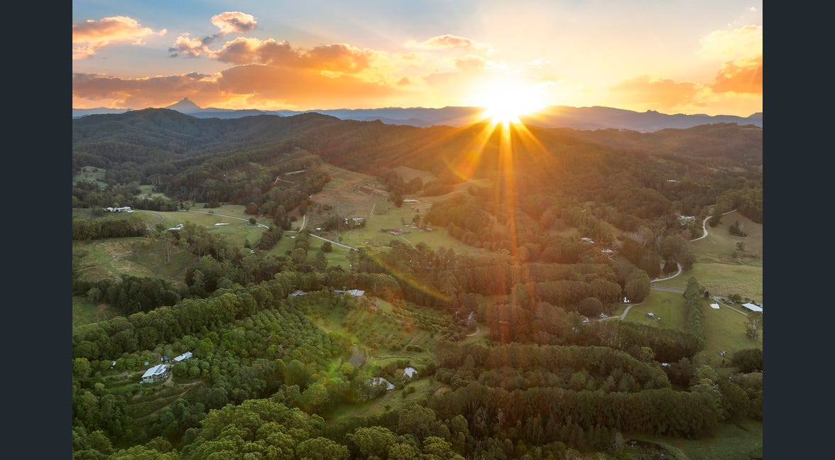 The Freedom Organic Farm