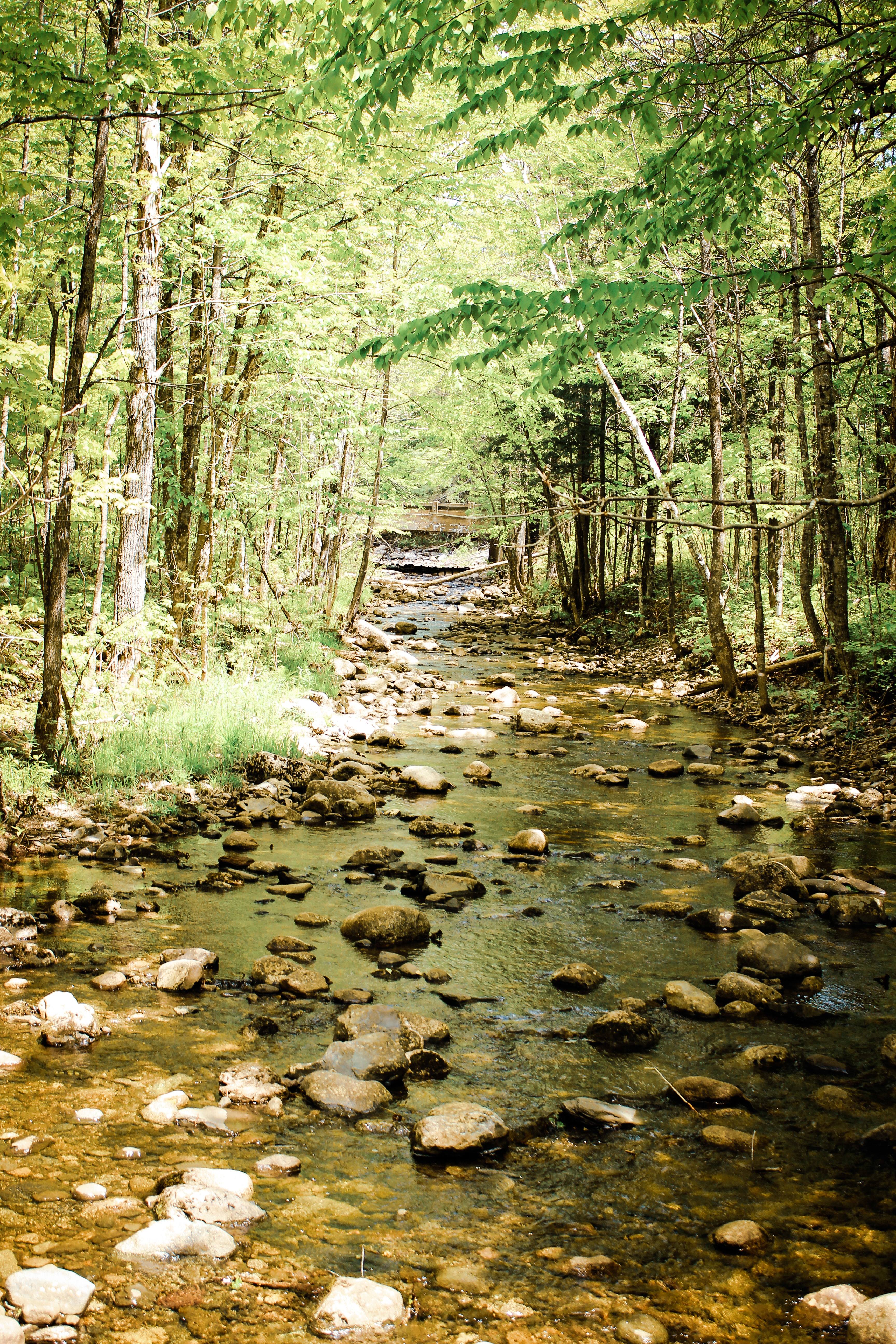 Kelley Brook Campground