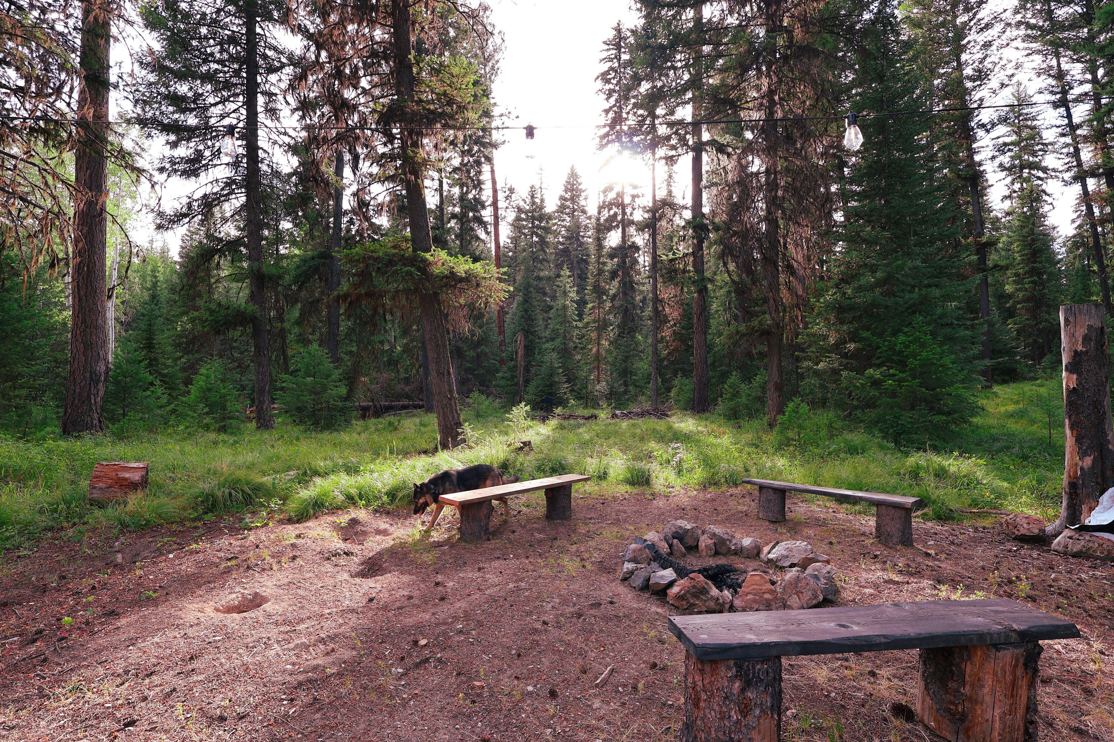 Jim Creek Cozy Cabin & RV w/ Hookup
