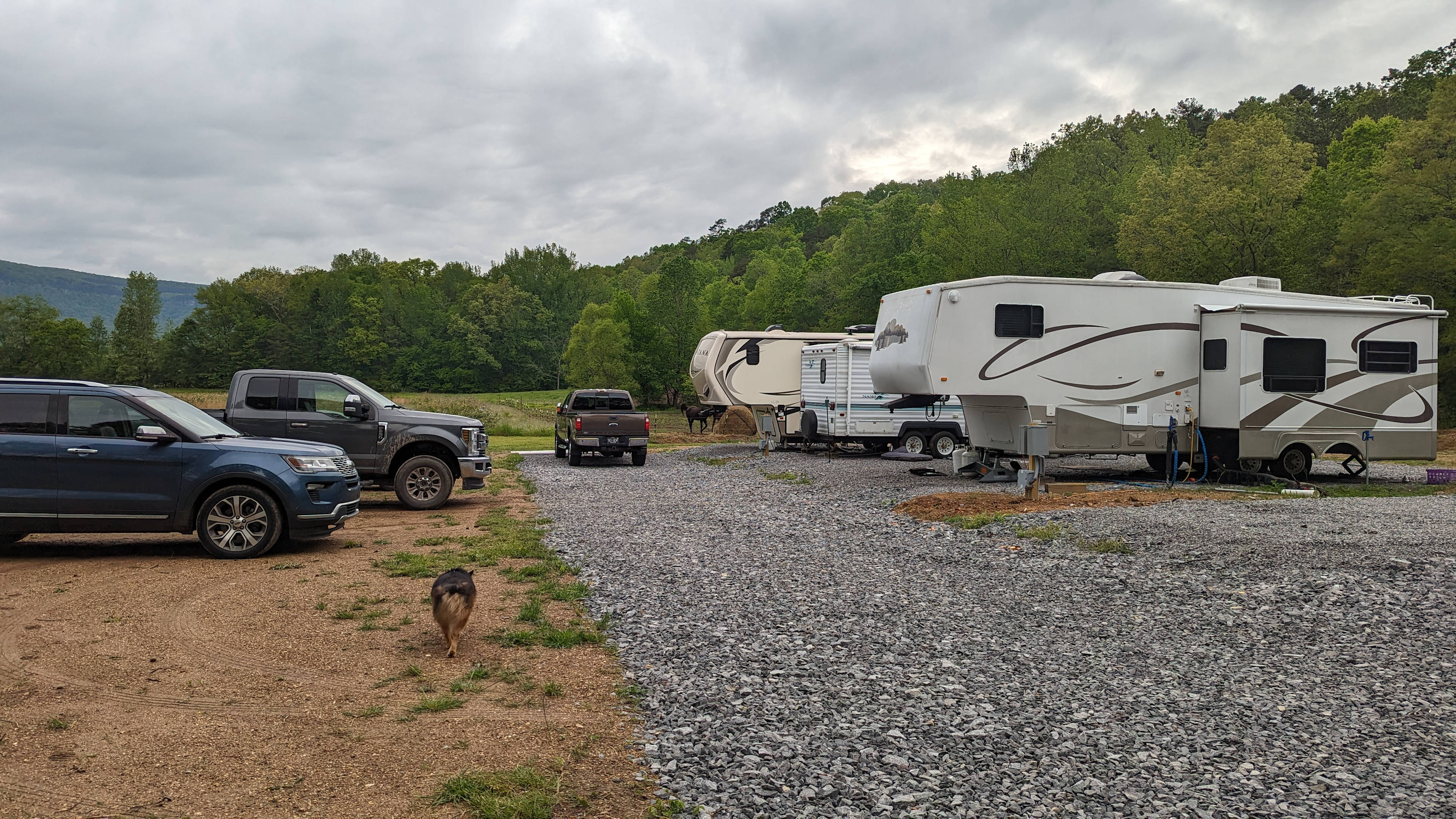 Shenanigans Valley Farm