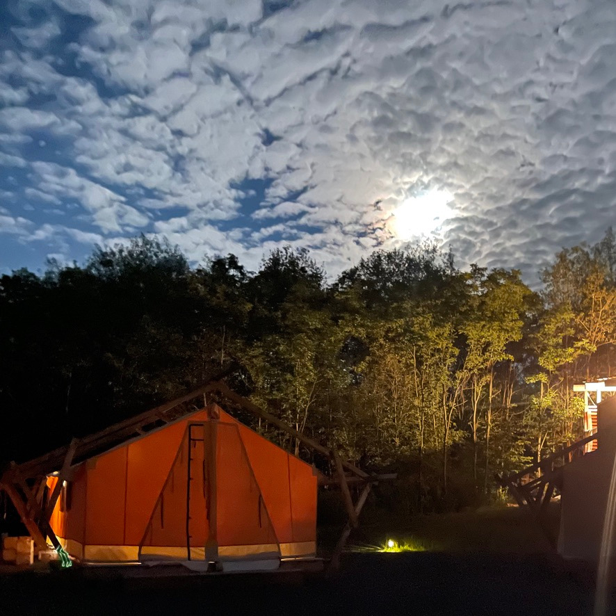 NaturLuxe and Stars