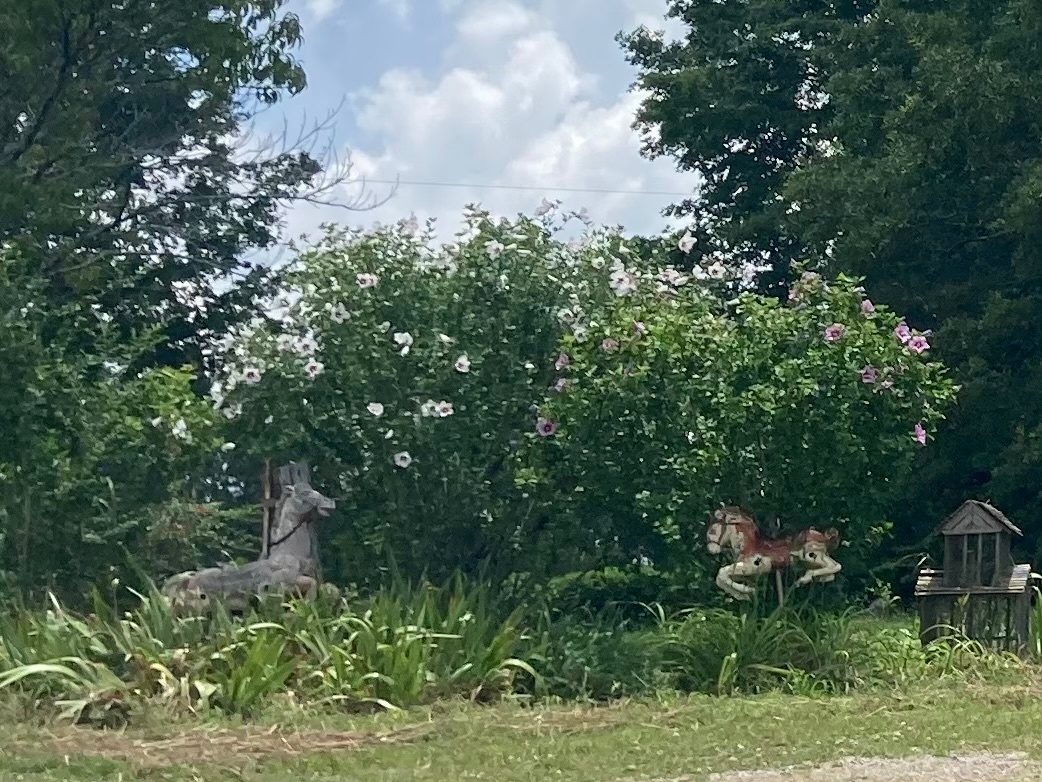 You turn onto our land at this funky flower bed, after passing the farm in the big curve of the road. We are the next to the last house on the road.