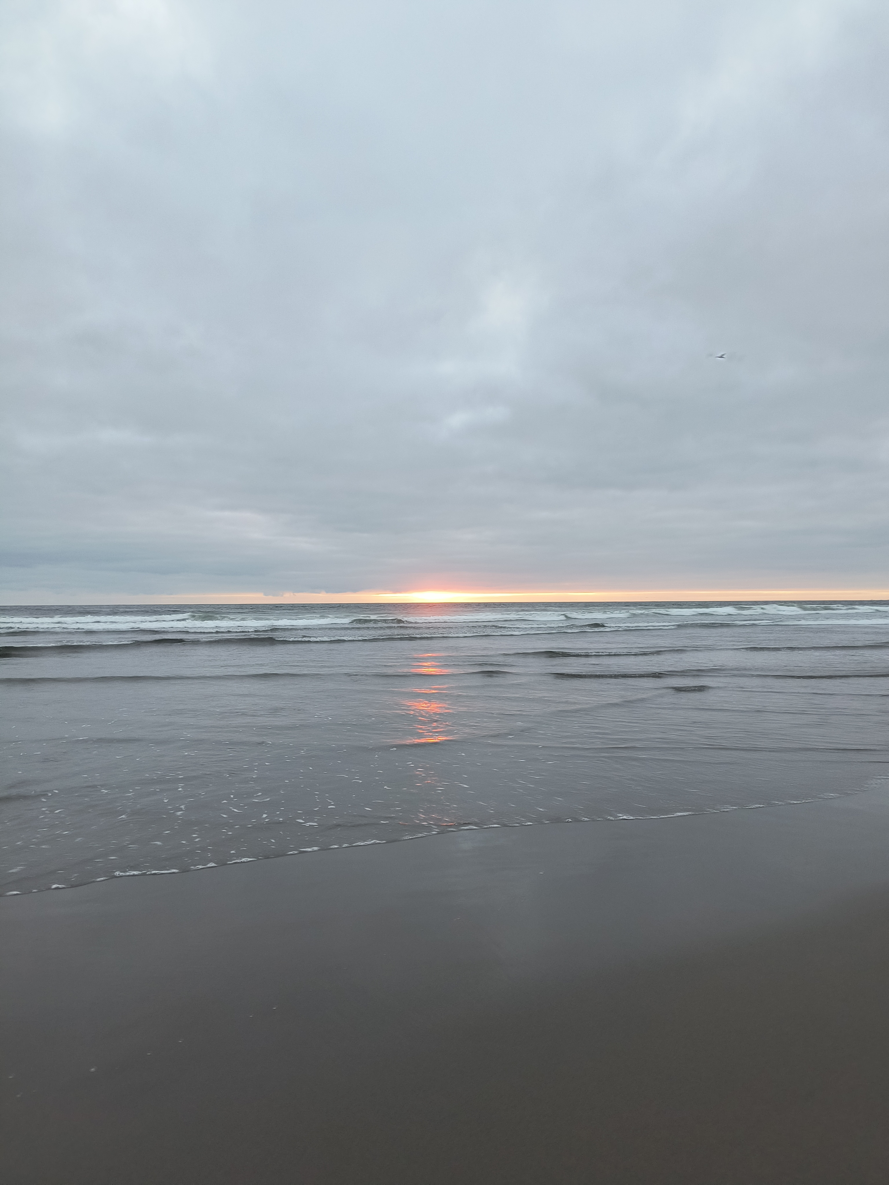 Peaceful Camp By The Beach