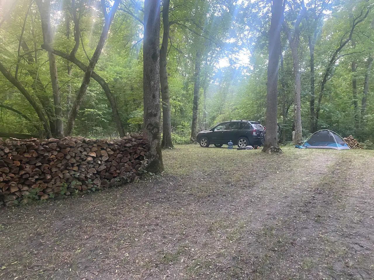 The Woods