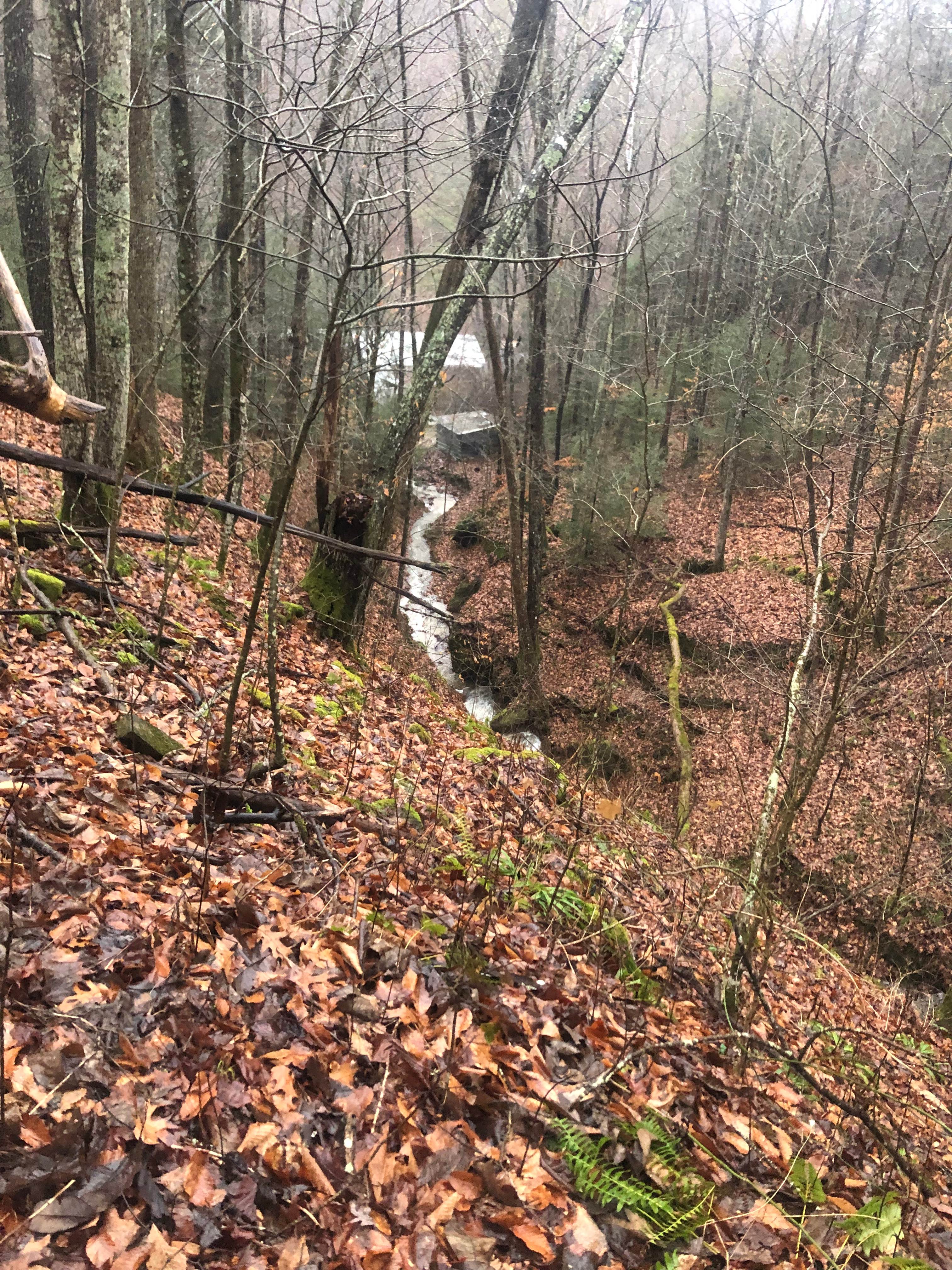 Turtle Ridge