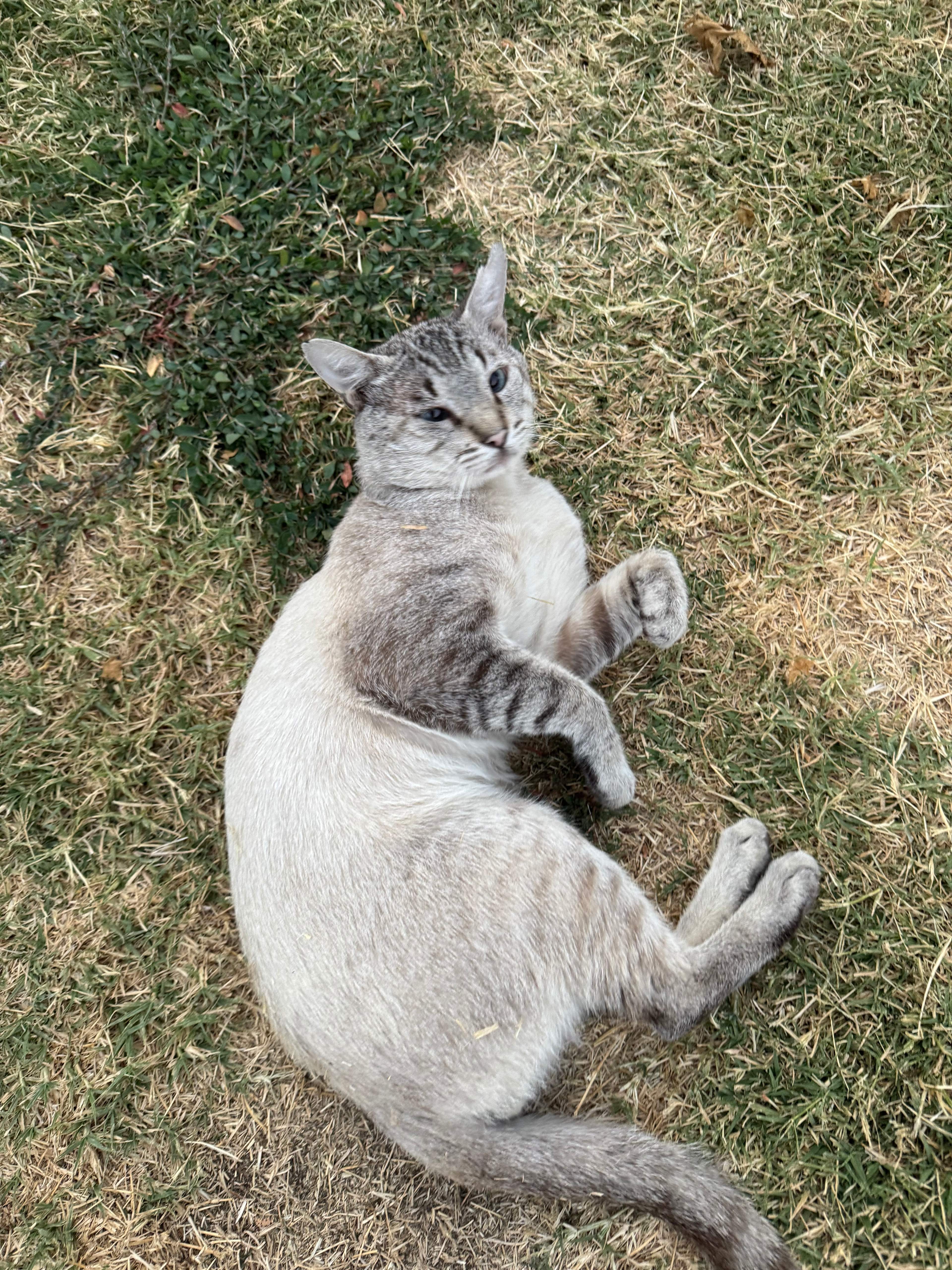 Three Rivers Sequoia Camp