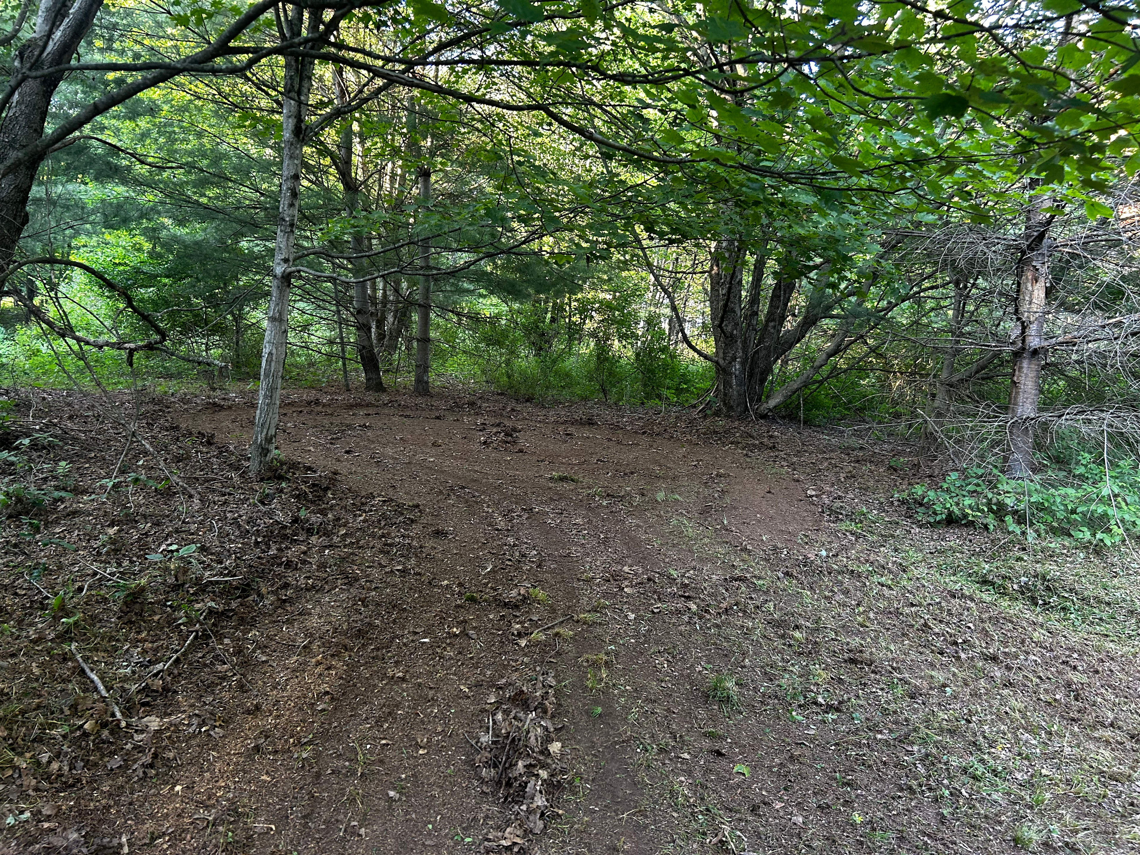 Sassafras Hill Homestead