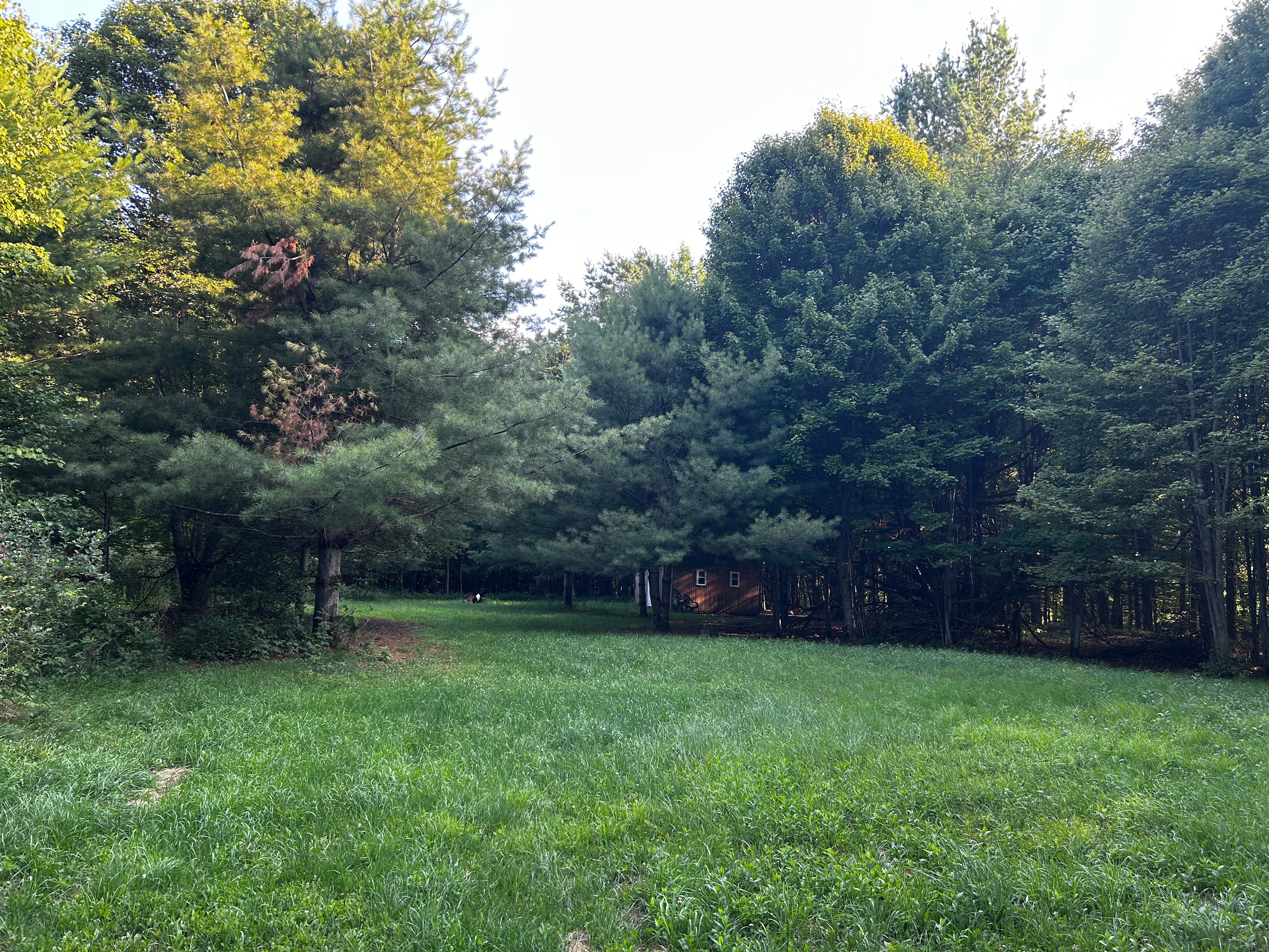 Sassafras Hill Homestead