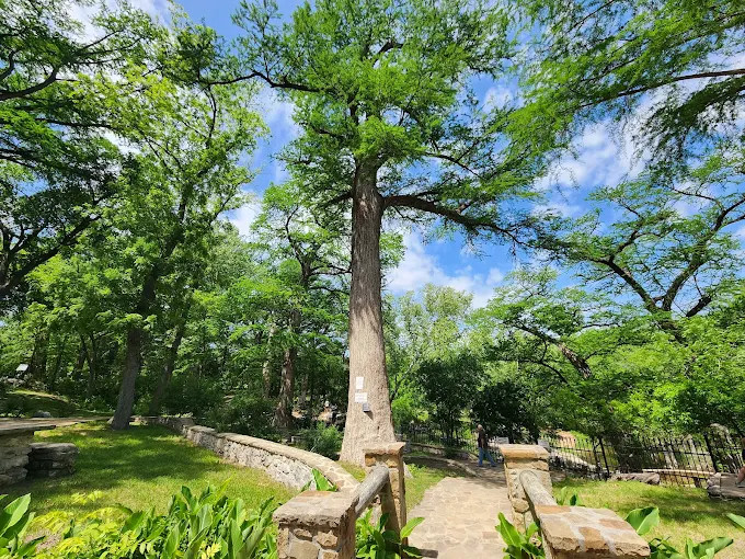 Krause Springs