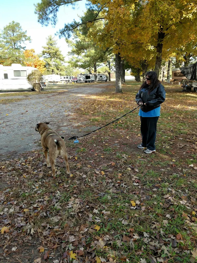 Jackson RV Parks Joy O RV Park