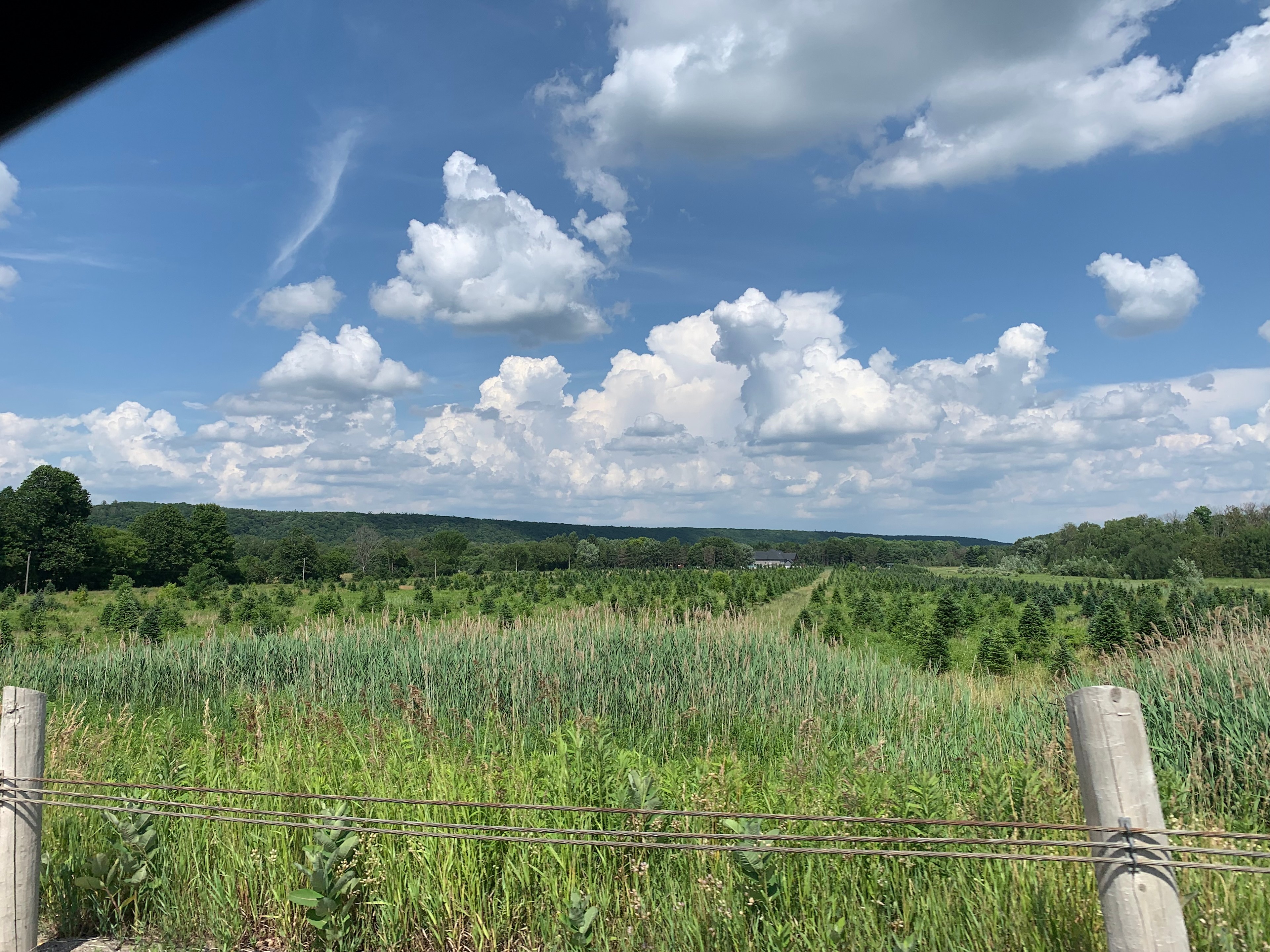 Windcrest Farms