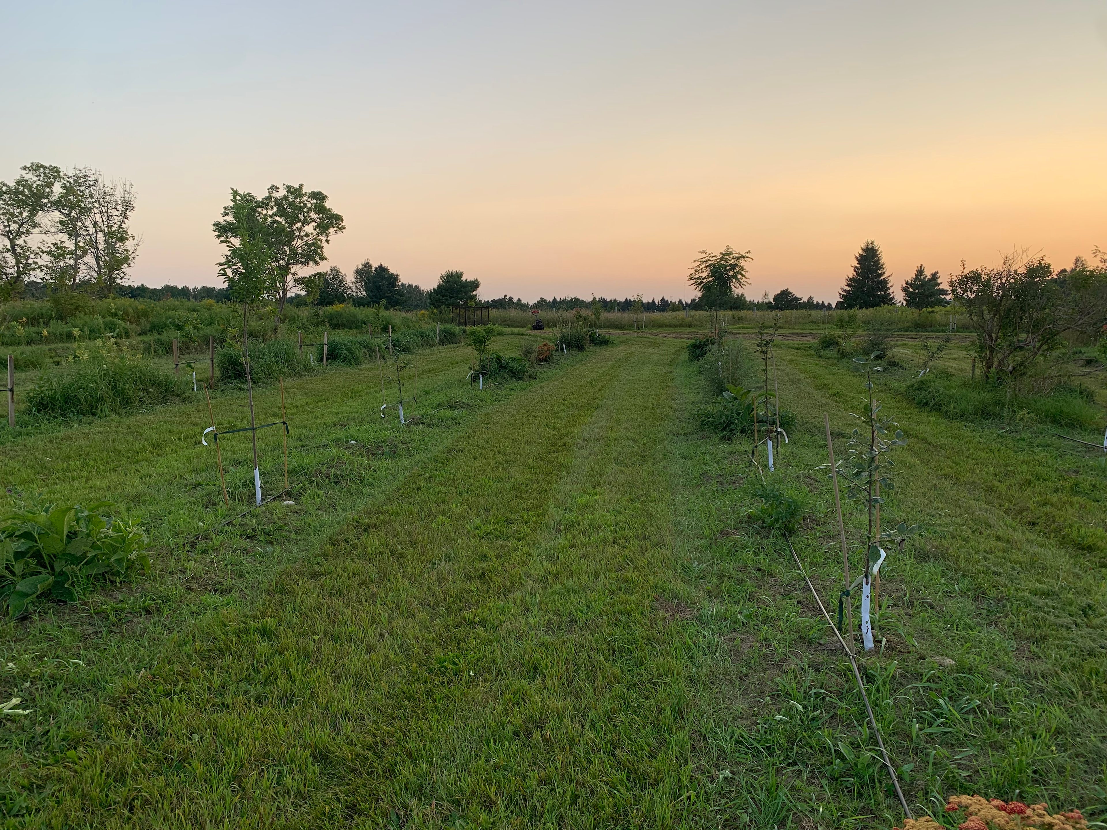 Windcrest Farms