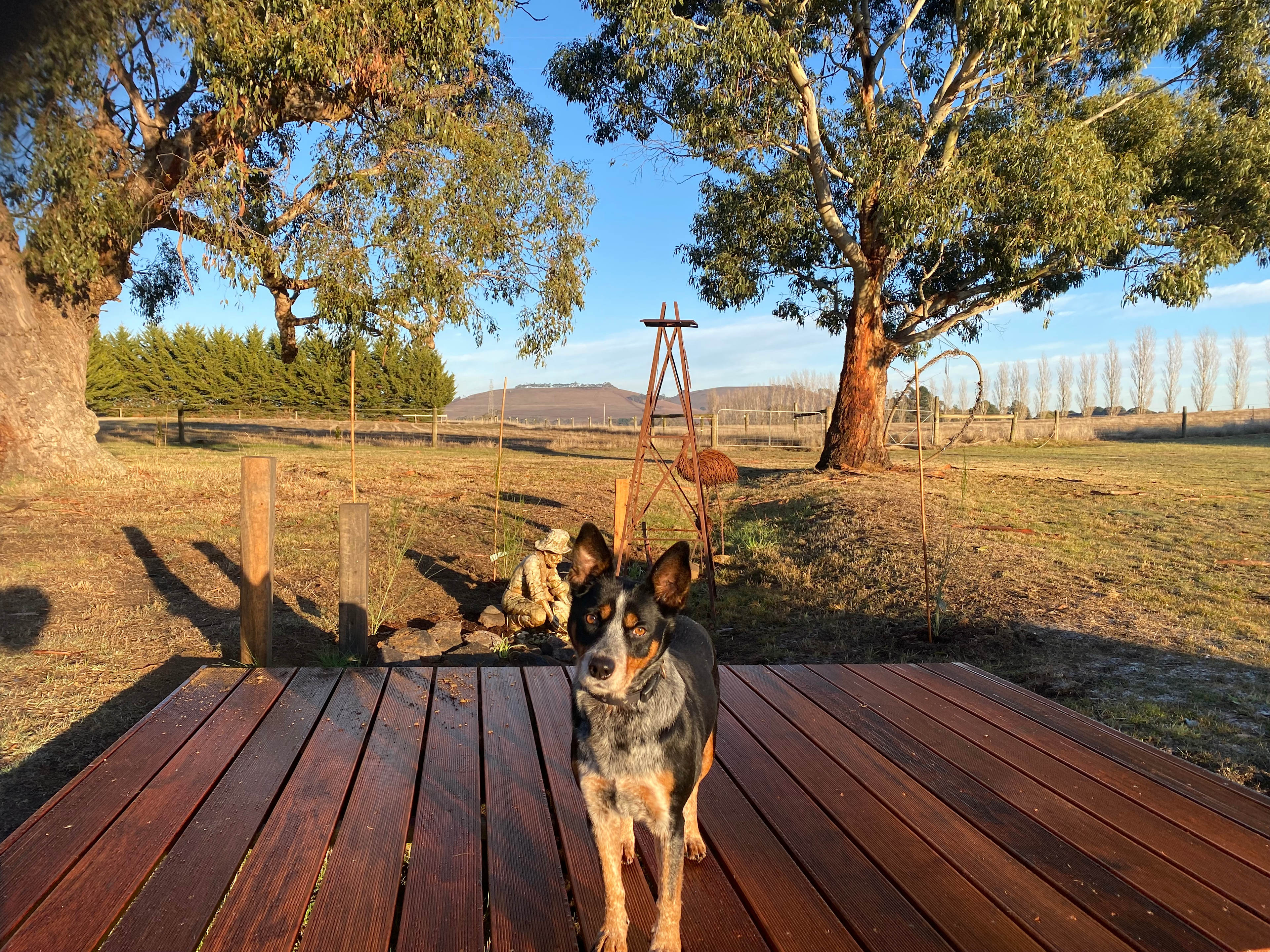 Yeramba Sunset Camp Site